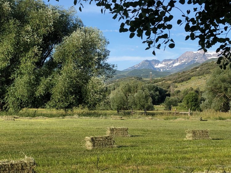Heber Valley field with mountains in the background