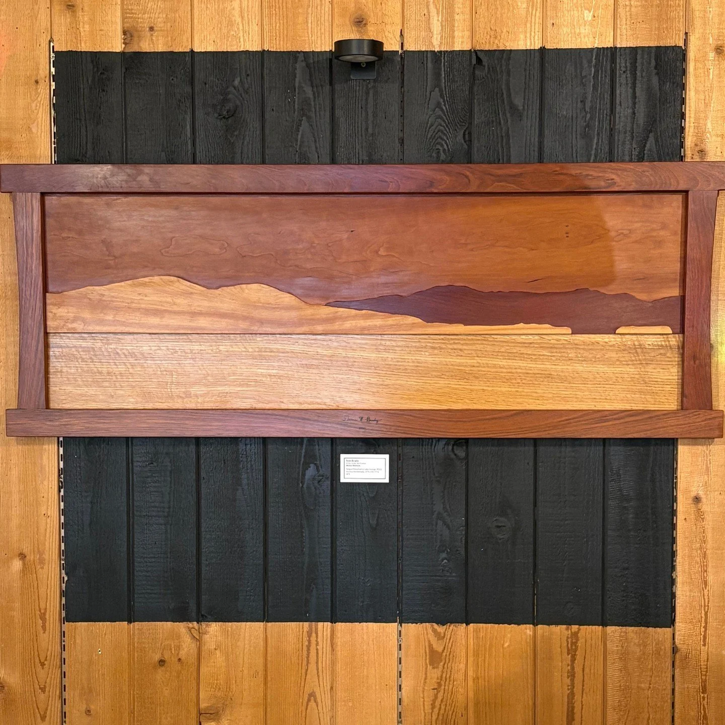 &ldquo;Winter Wellness&rdquo; is an exploration of our community&rsquo;s relationship with the season of winter. The exhibition will be up for the public until March 7th. Open Tues.-Fri. 2-, Saturdays 10-4.⁠
⁠
Tom Brady⁠
⁠
More information at LanderA