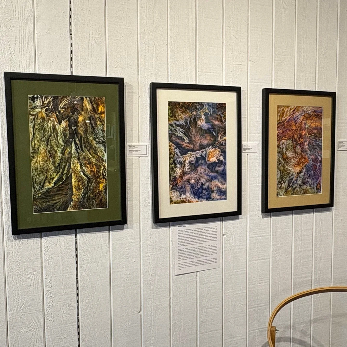 &ldquo;Winter Wellness&rdquo; is an exploration of our community&rsquo;s relationship with the season of winter. The exhibition will be up for the public until March 7th. Open Tues.-Fri. 2-, Saturdays 10-4.⁠
⁠
Nancy Alley ⁠
⁠
More information at Land