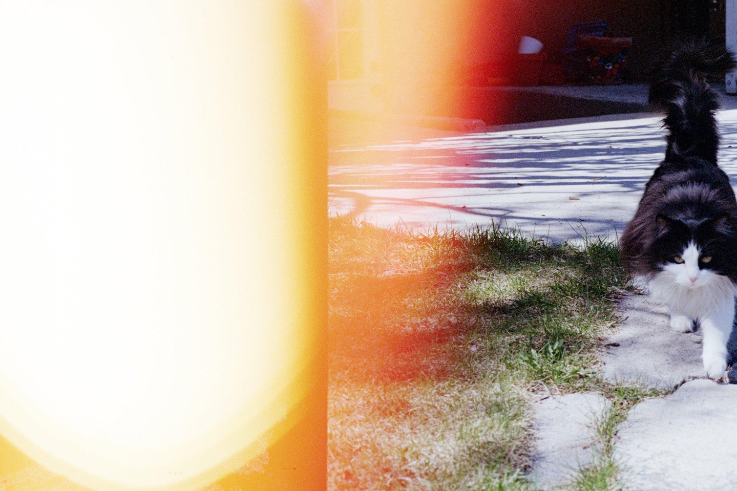 Mikey Castillo⁠
⁠
"Born and raised in Wyoming, Mikey has been curious from a young age. Only recently feeling free to truly pursue arts and humanities, she has entered a renaissance period exploring a range of artistic practices, including film 