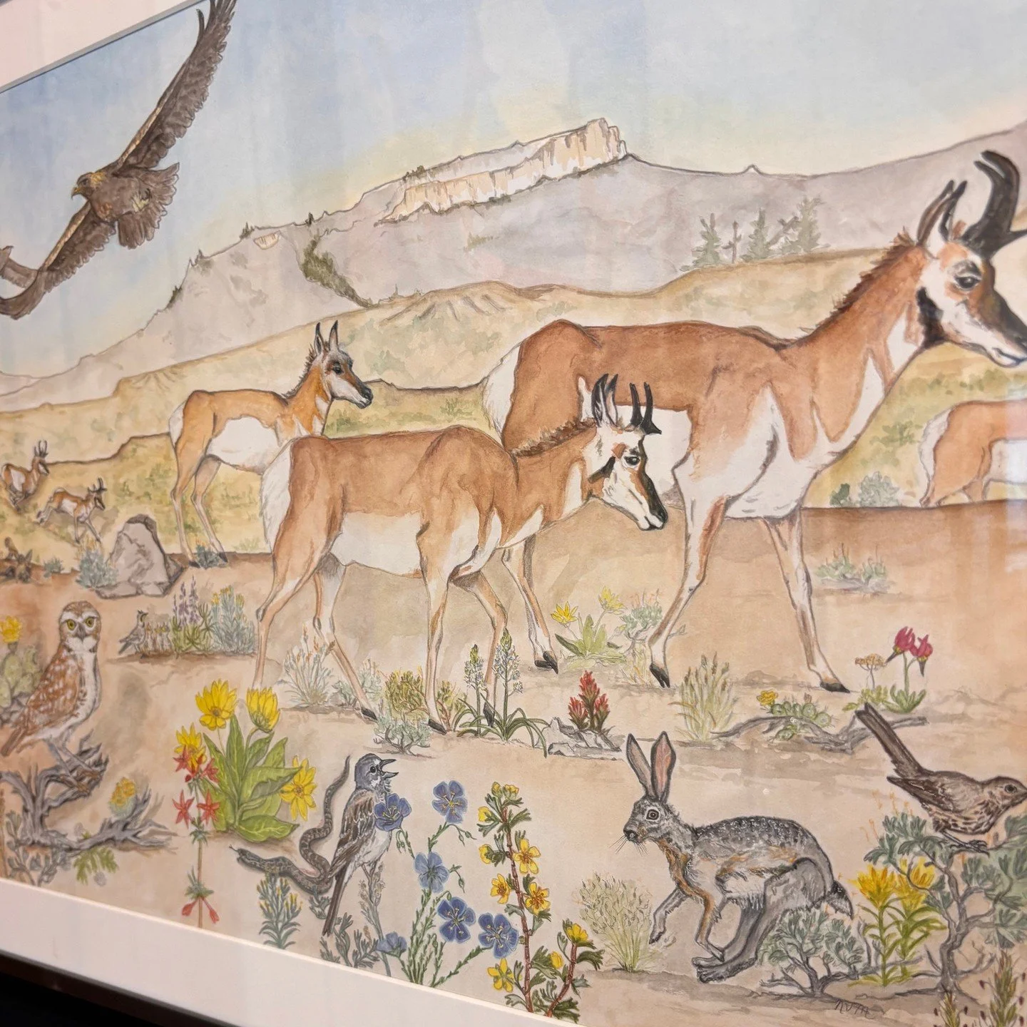 We are proud to present the Red Desert Audubon Wildlife Art Show winners of the Professional 2D category! 
First prize: Nikki Mann - Adopt a Wild Place (one of a 3-part series shown)
Second prize: Marty Dorst - Fly Me To The Moon 
Third prize: Megan 
