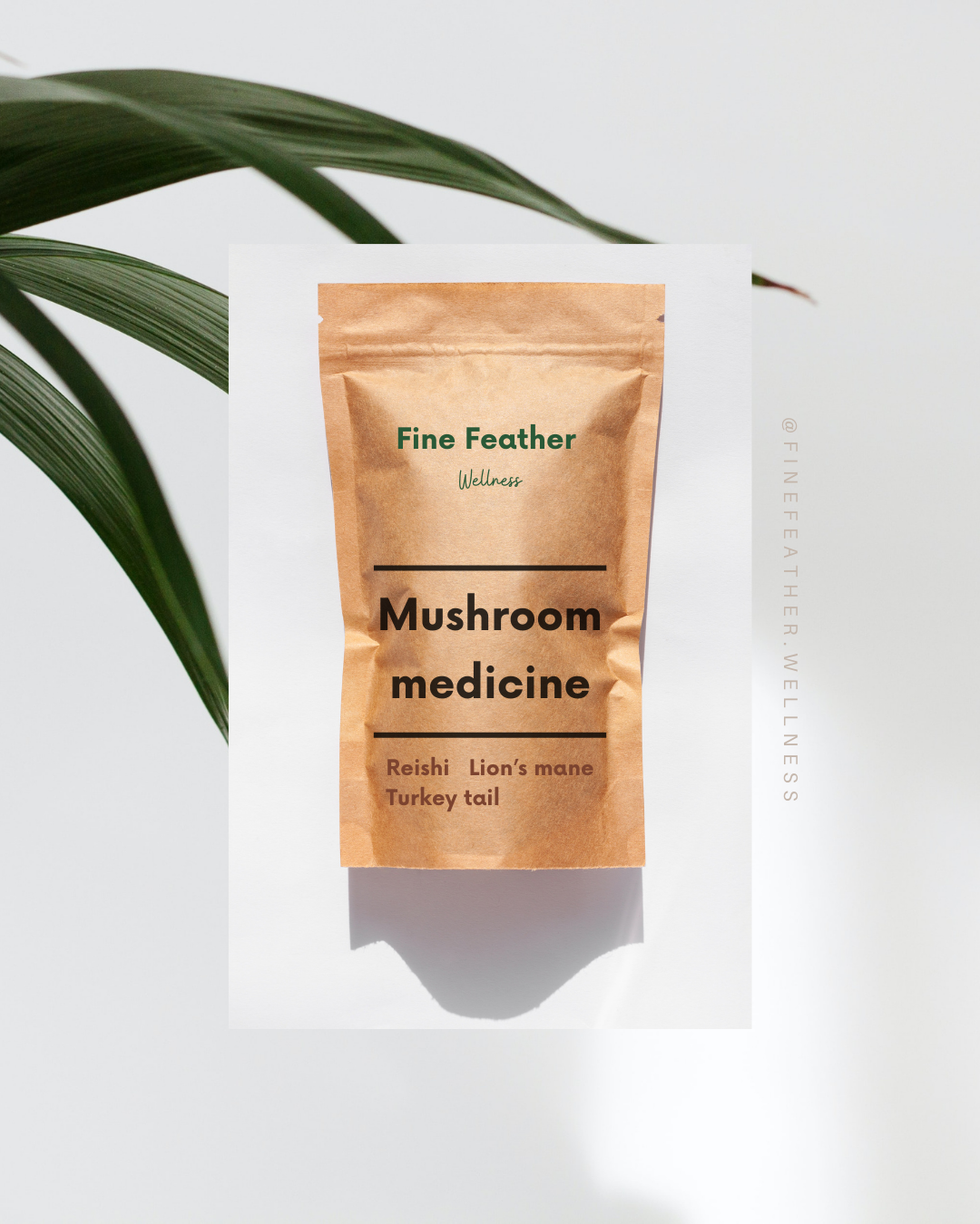 Mushroom Powders