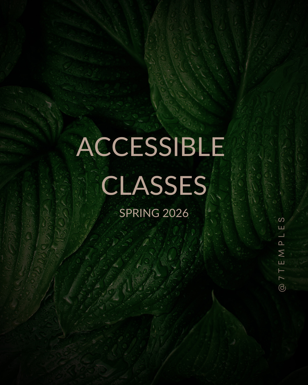 Blue Modern Agenda Event Schedule Timetable Instagram Story (Instagram Post (45)) (47).png