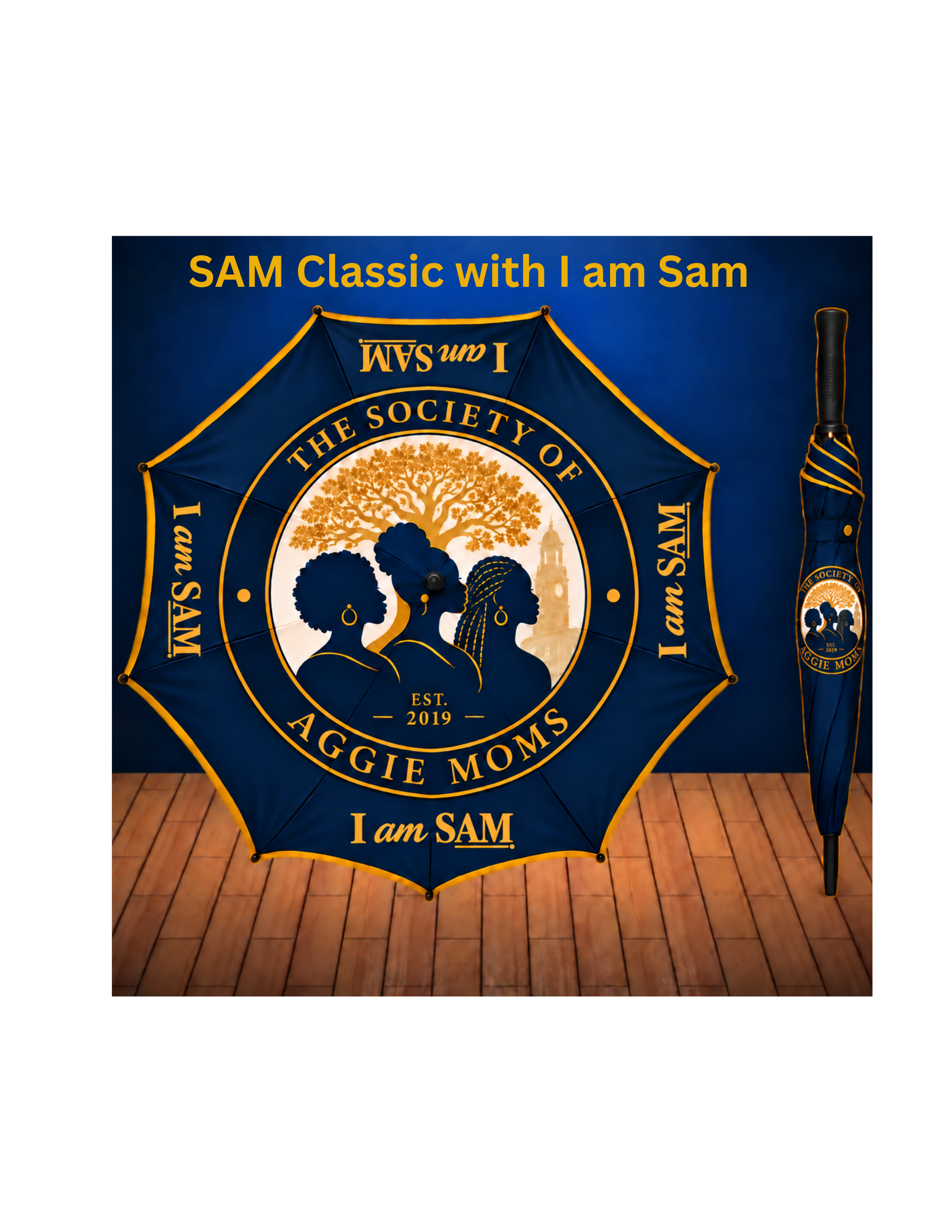 UM SAM Classic with IAMSAM.png