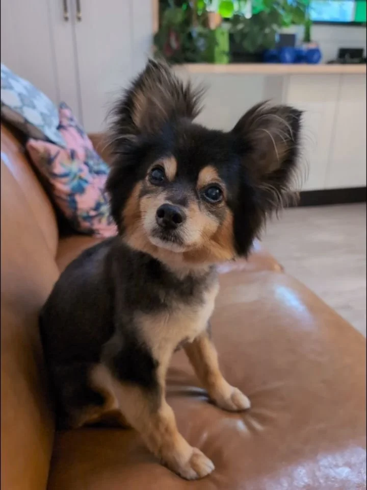 The goodest!!!