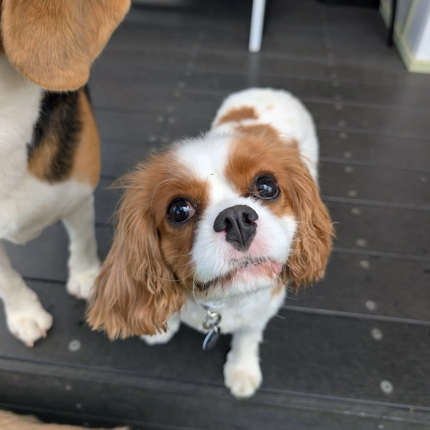 Oh Maggie 🤣 you're just too cute. You bring a little bit of sunshine to Fridays 😜
