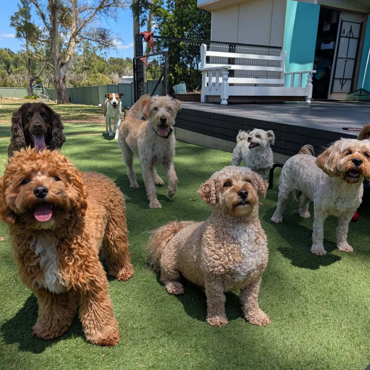 Wednesdays are too cute?!