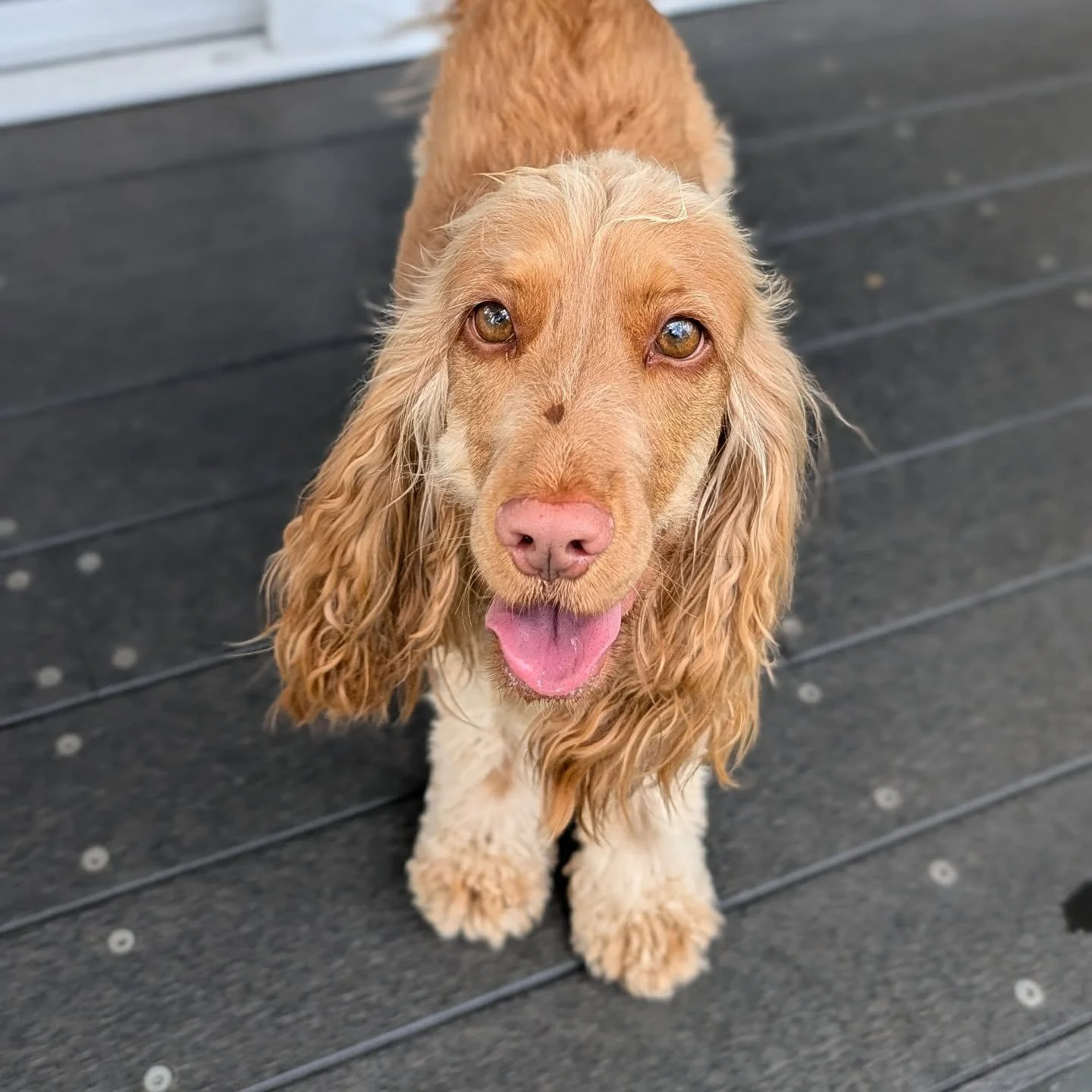 Like butter wouldn't melt - right Lexie 😜😘