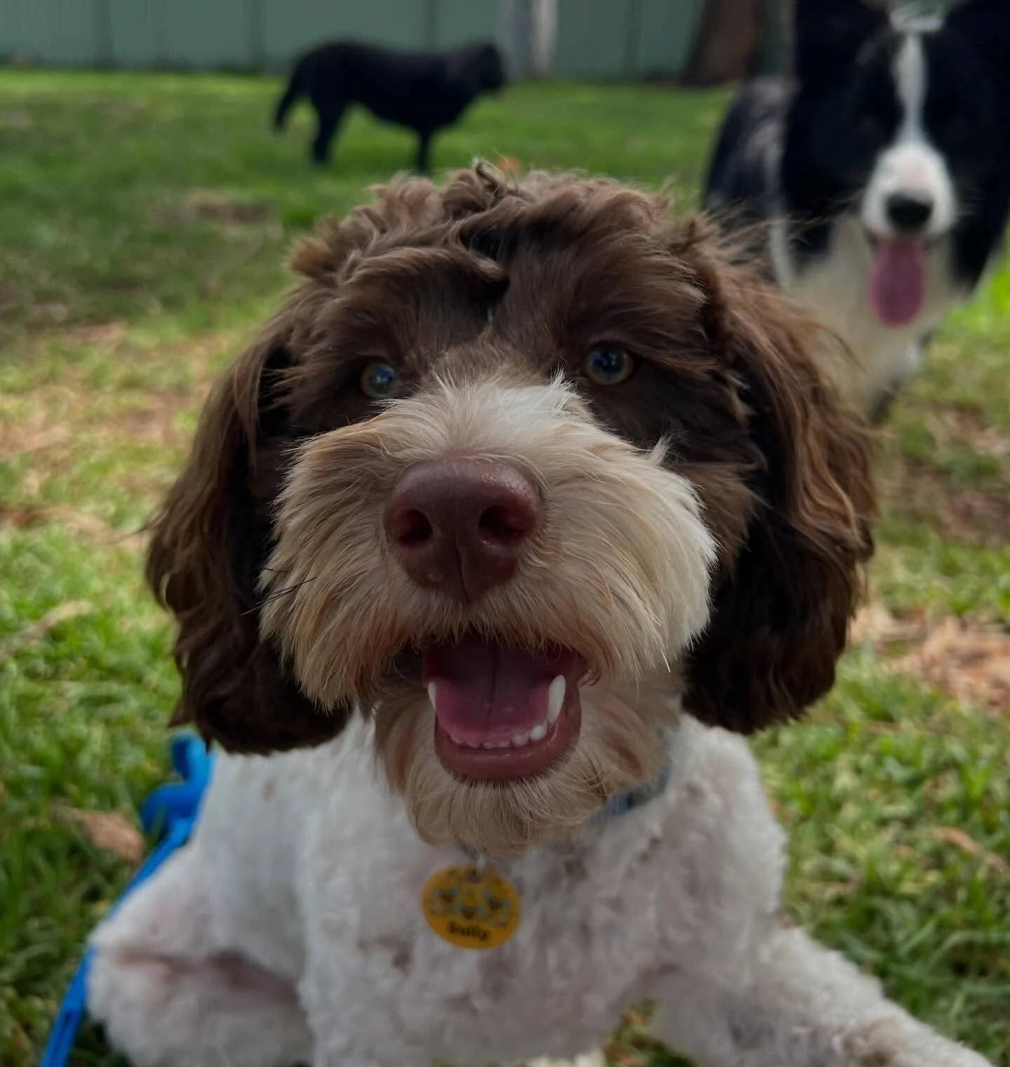 you&rsquo;re just the cutest sully! 😍🥺