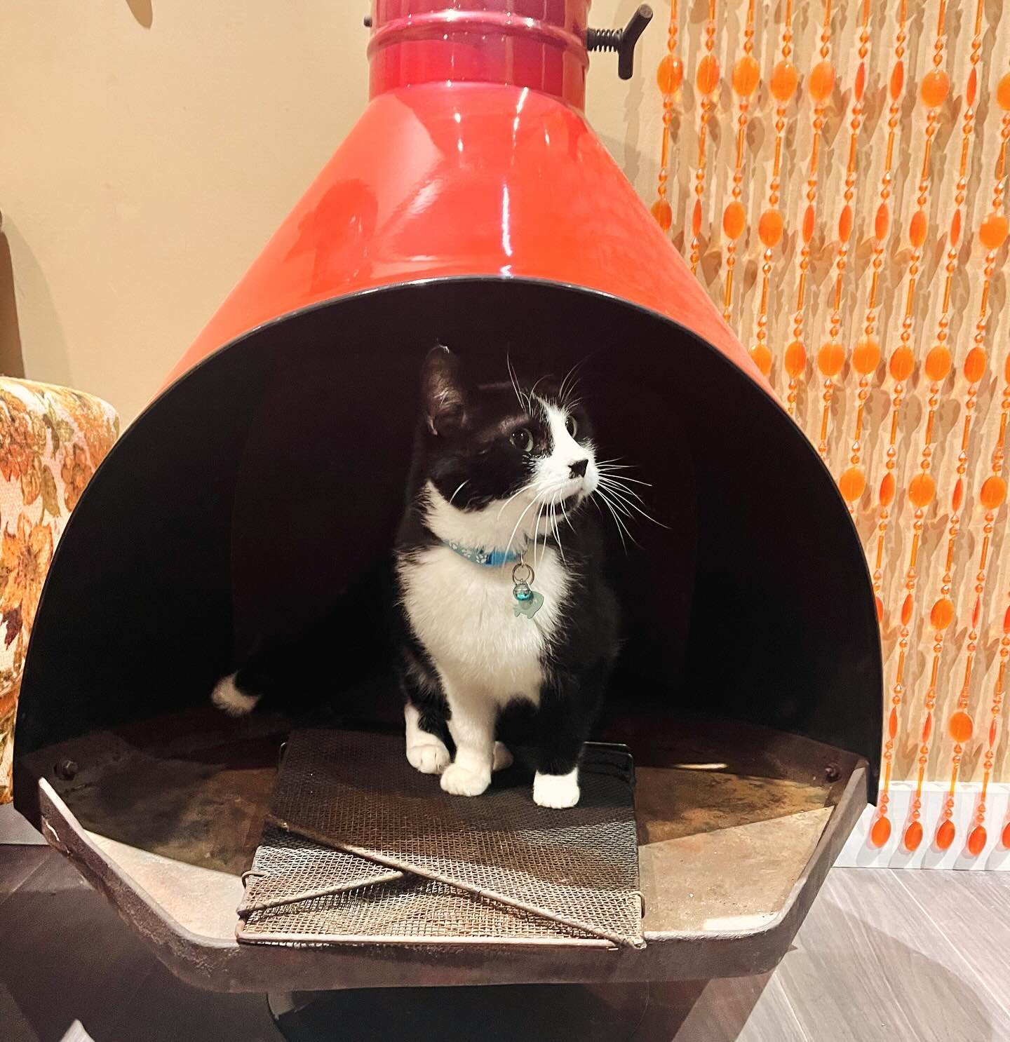 Sure you&rsquo;ve seen retro TVs turned into cat beds&hellip;. But what about a malm fireplace? 🐈&zwj;⬛

(JK, our cat just decided to check it out over the weekend &amp; we couldn&rsquo;t resist the photo op)