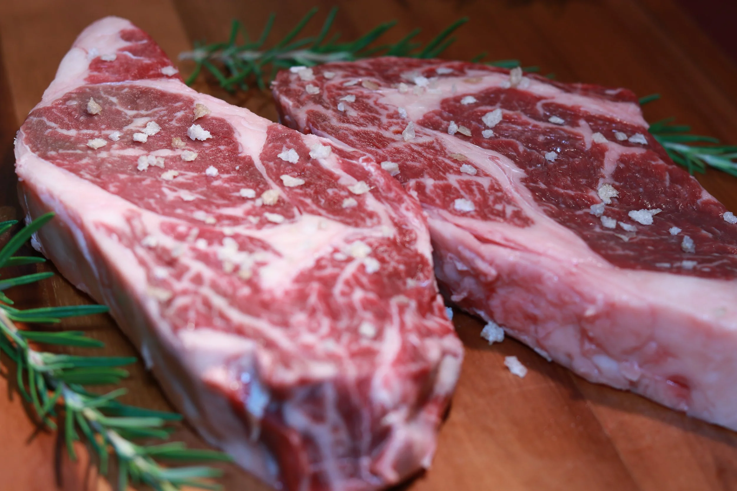 High Pasture Farm High Quality Beef Zolfo Springs, FL