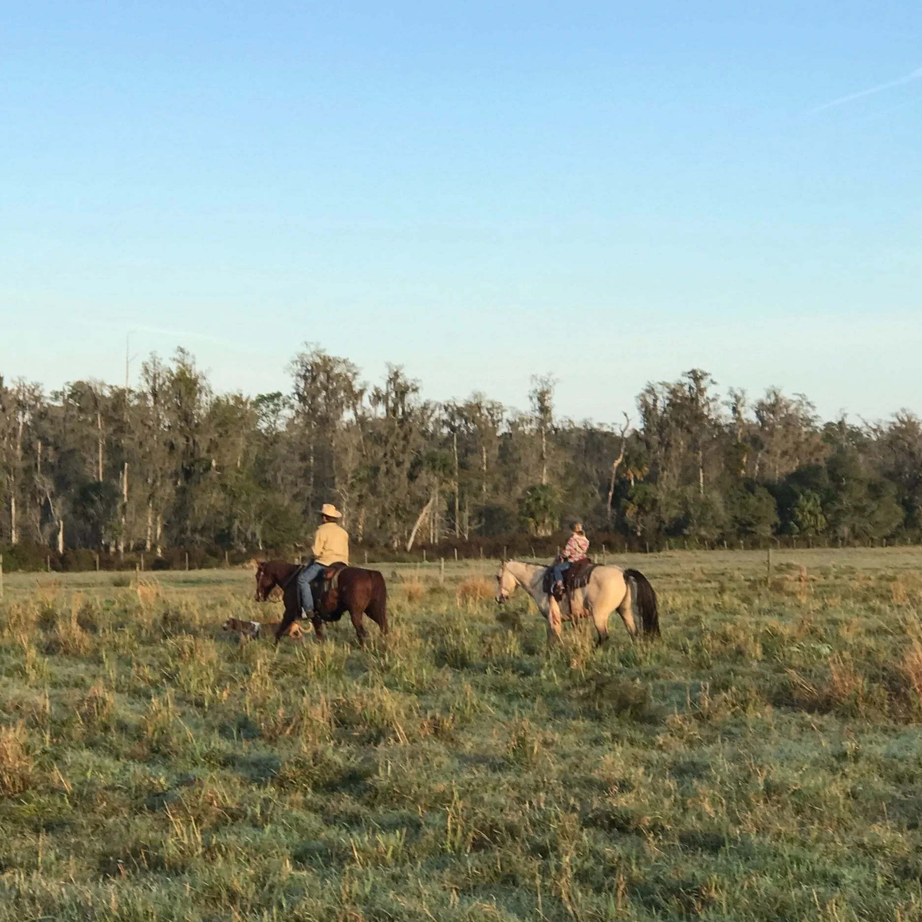 High Pasture Farm High Quality Beef Zolfo Springs, FL