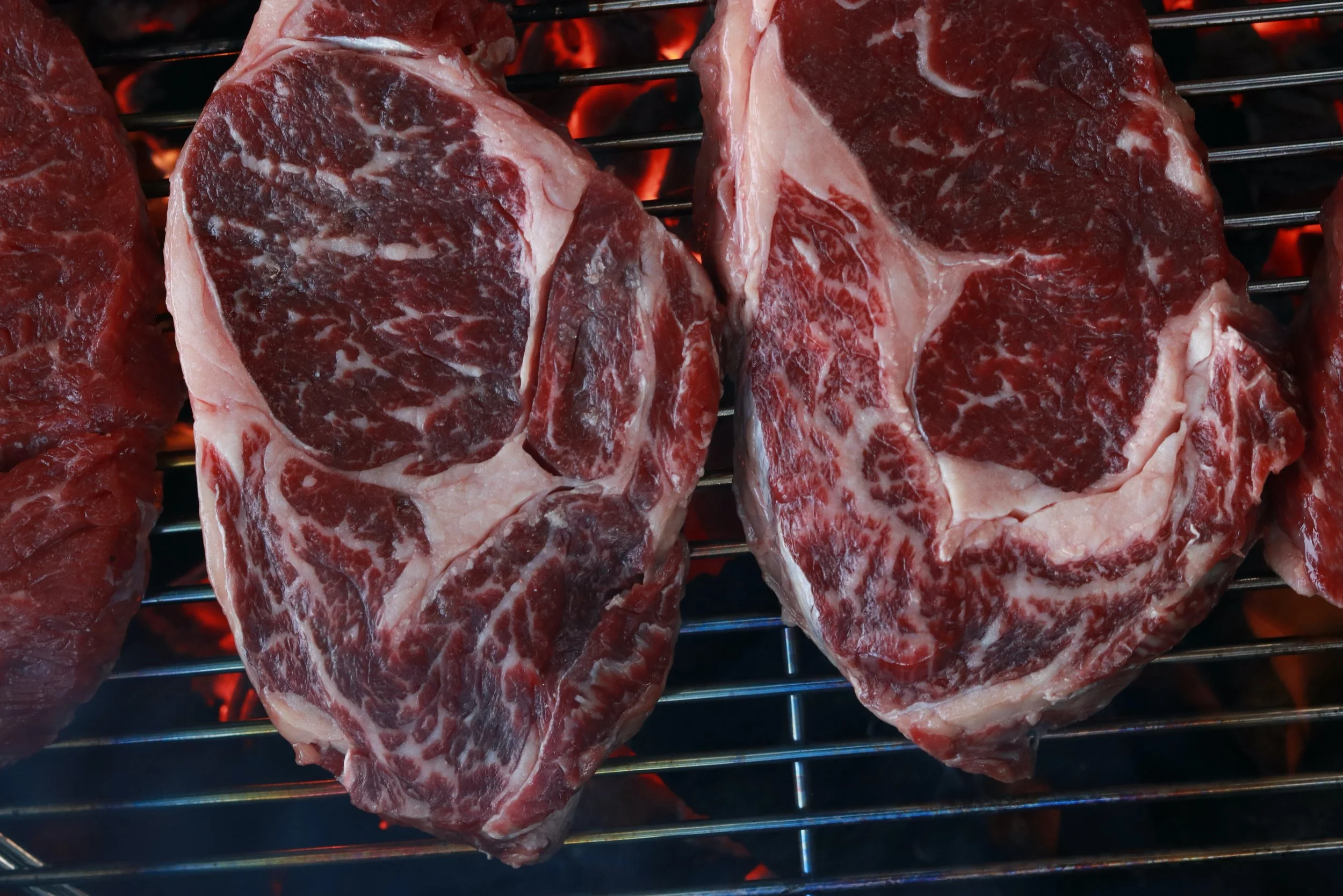 High Pasture Farm High Quality Beef Zolfo Springs, FL