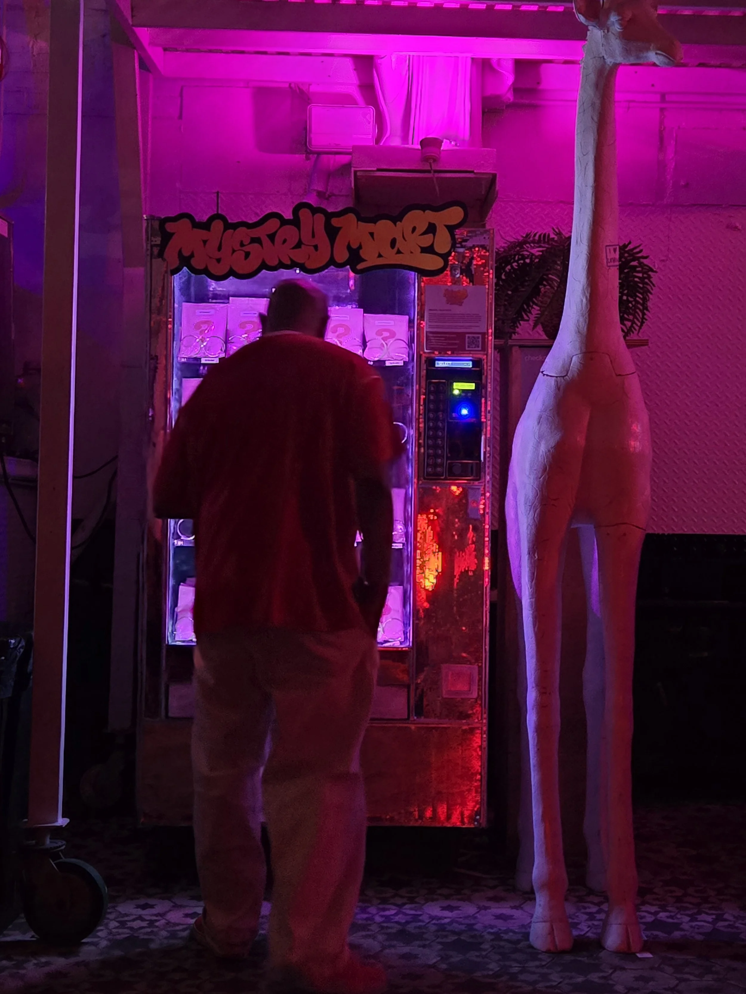 20250830_002358.jpg