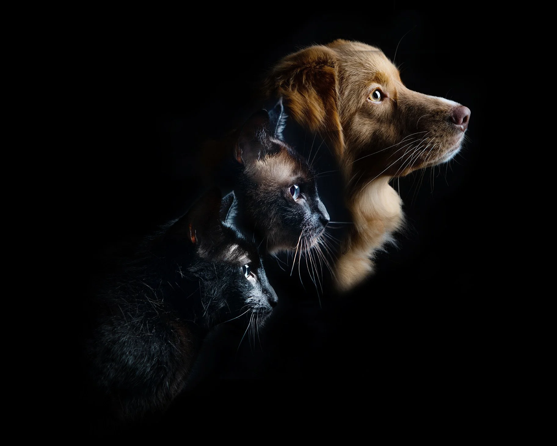 Composite test canvas print web size.jpg