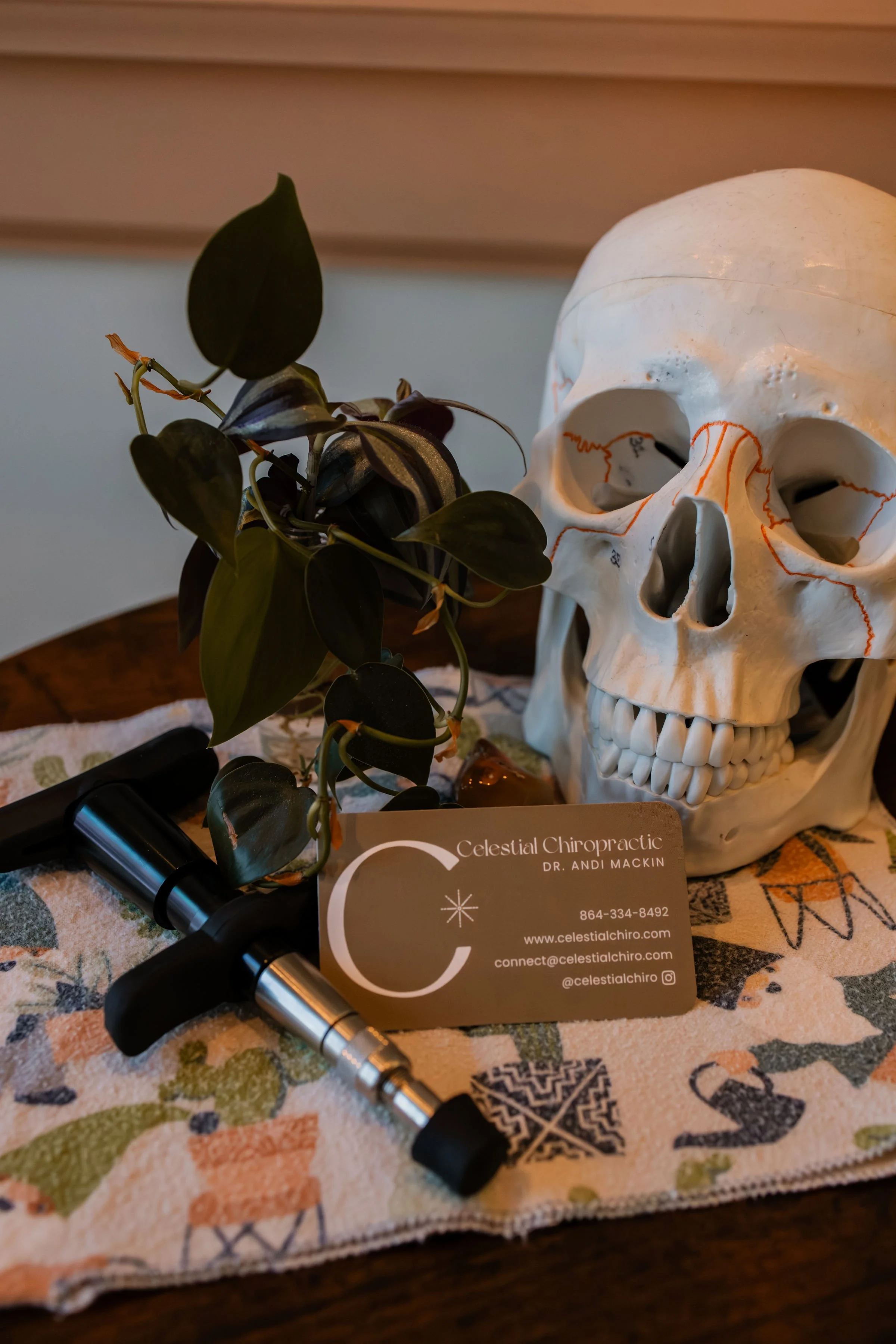 A scene with a human skull, a potted plant, a medical device, and a business card on a colorful cloth.