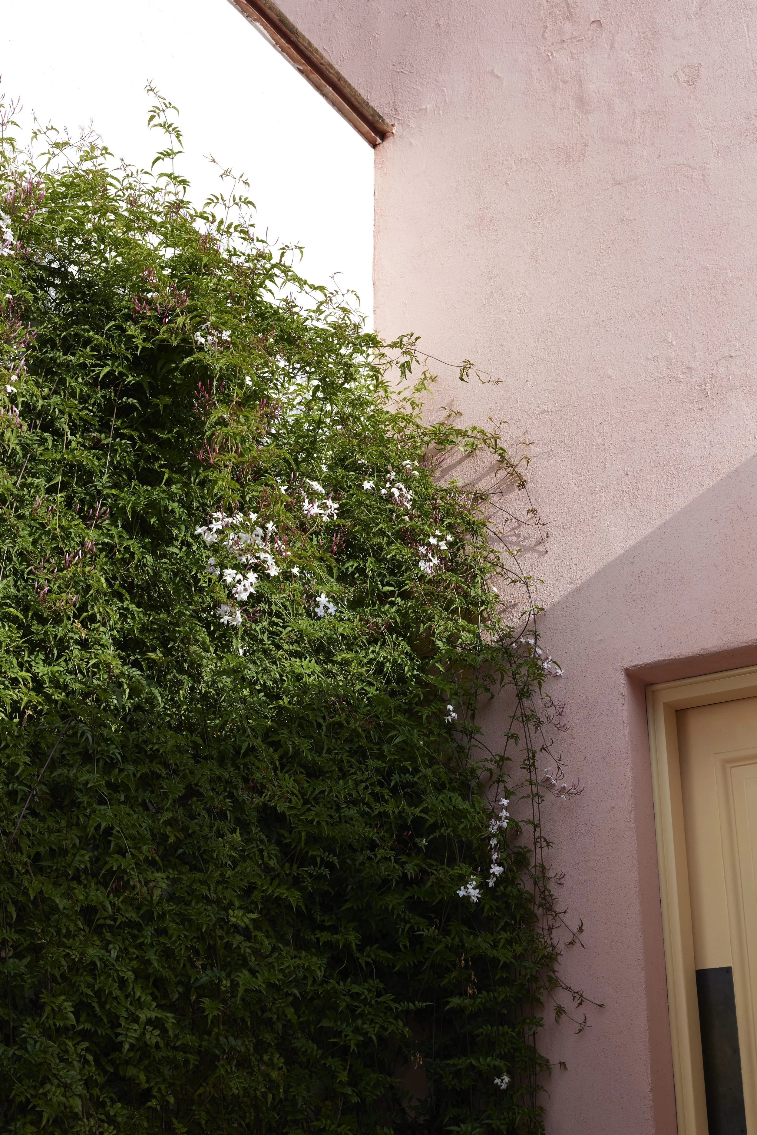 2021_12_11_BELMONDNAZARENAS_483_crop.jpg