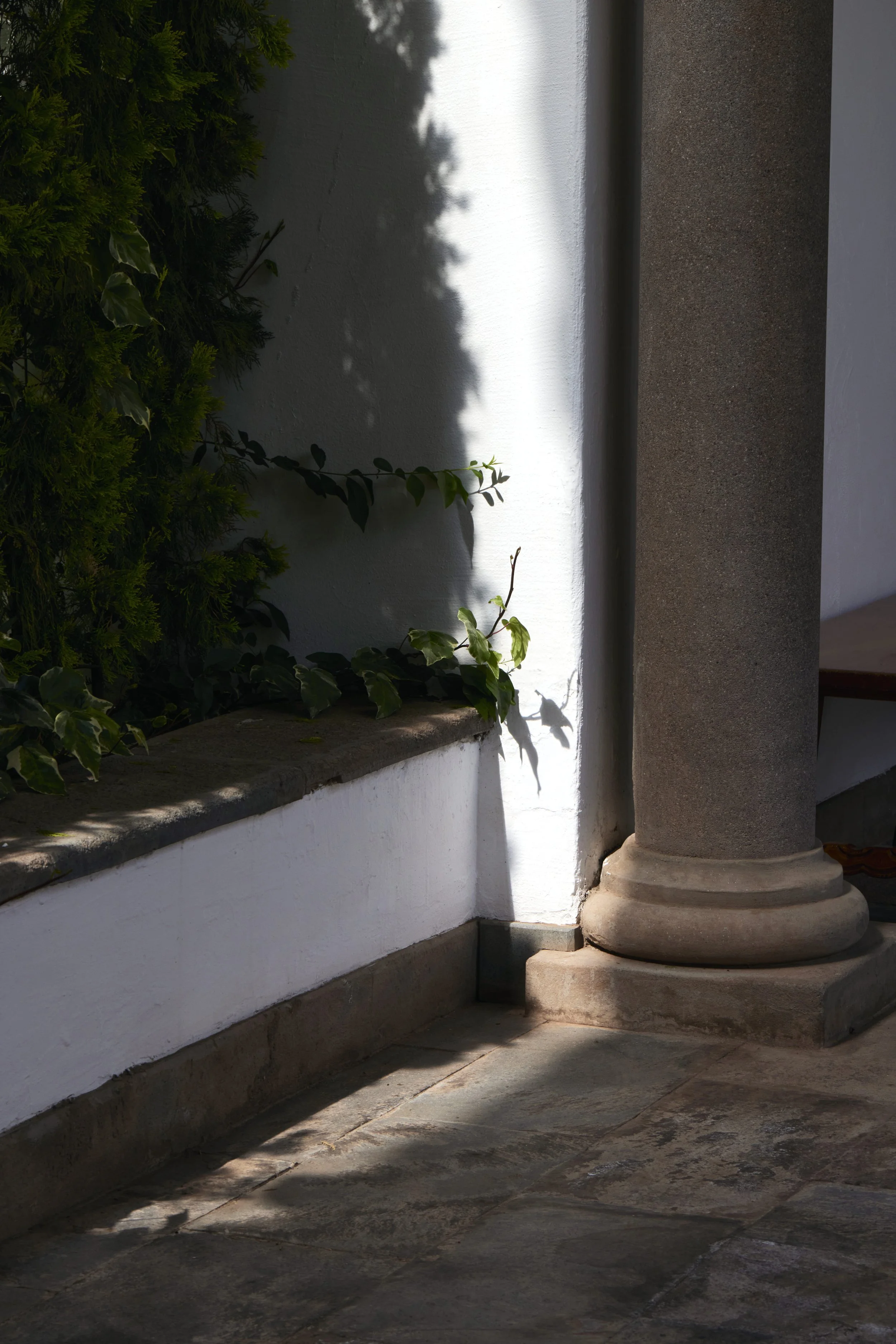 2021_12_11_BELMONDNAZARENAS_281_crop.jpg