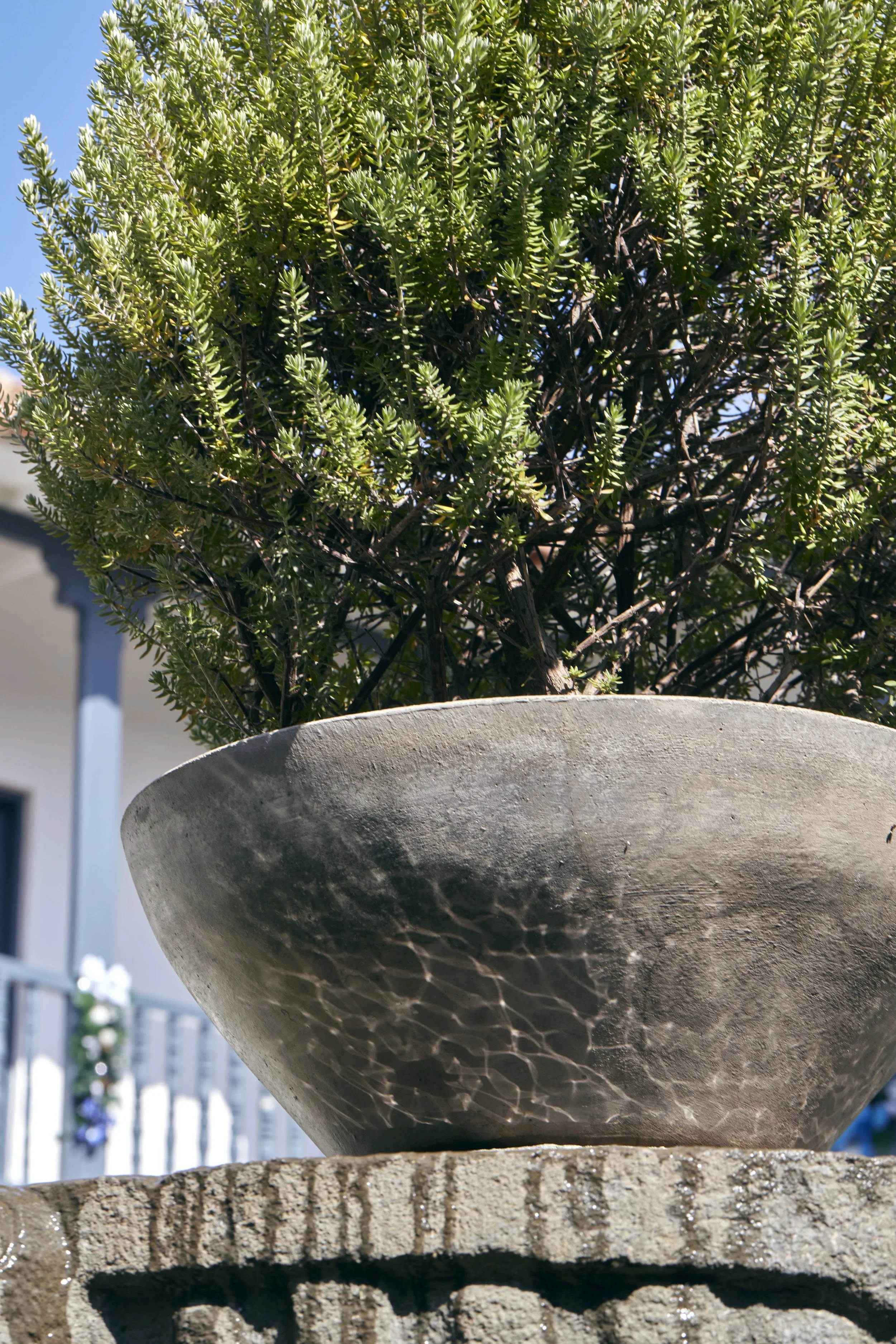 2021_12_11_BELMONDNAZARENAS_361_crop.jpg