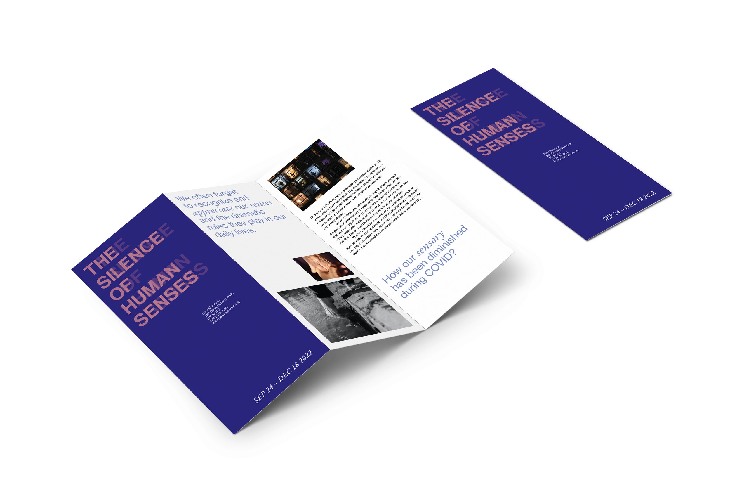EX Type_Brochure design.jpg