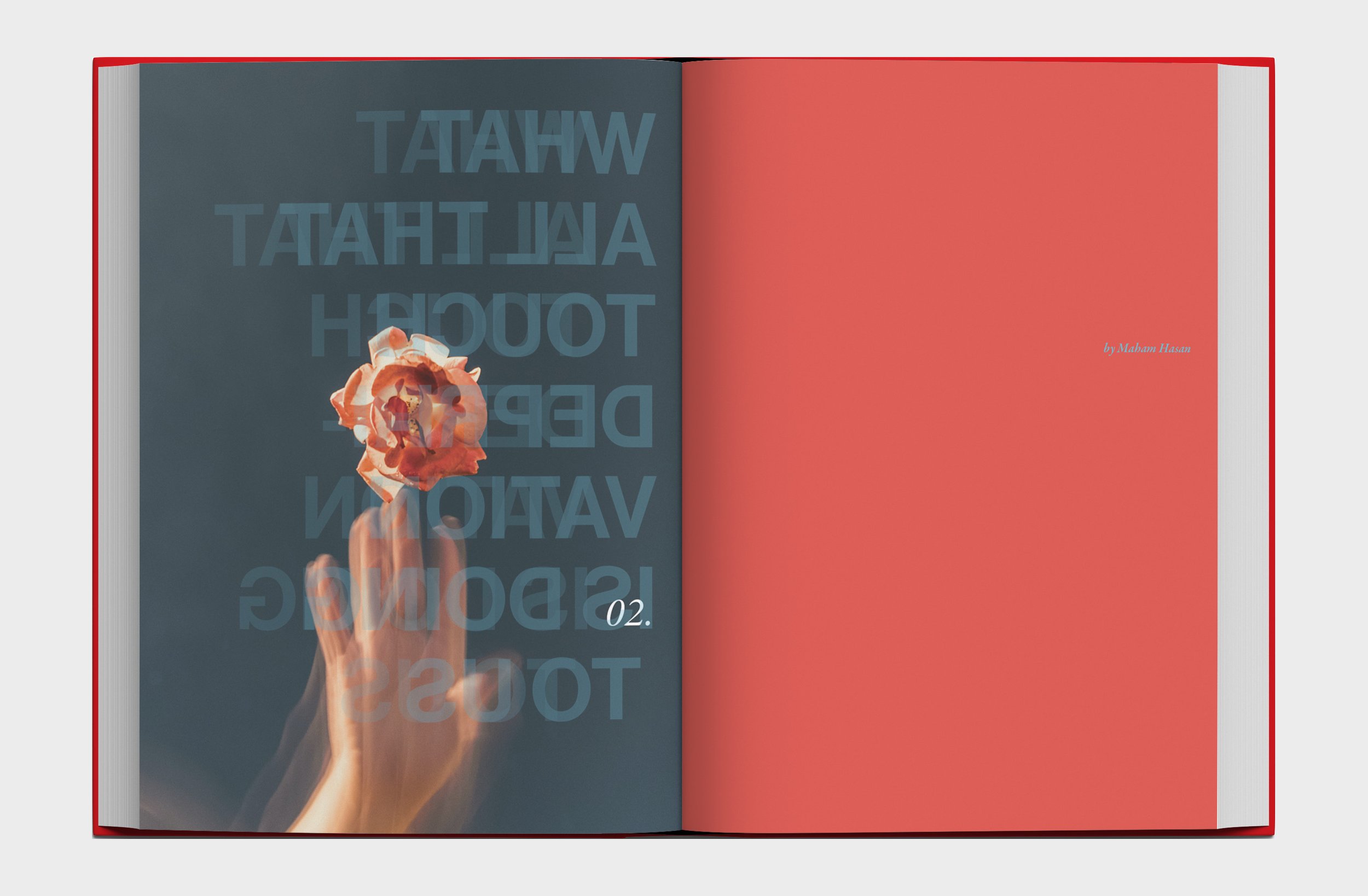 chapter divider 2-2.jpg