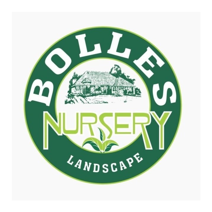 Bolles Nursery