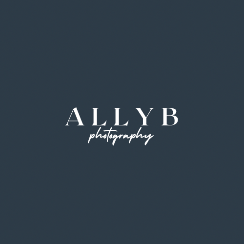 Ally B Photography Logo
