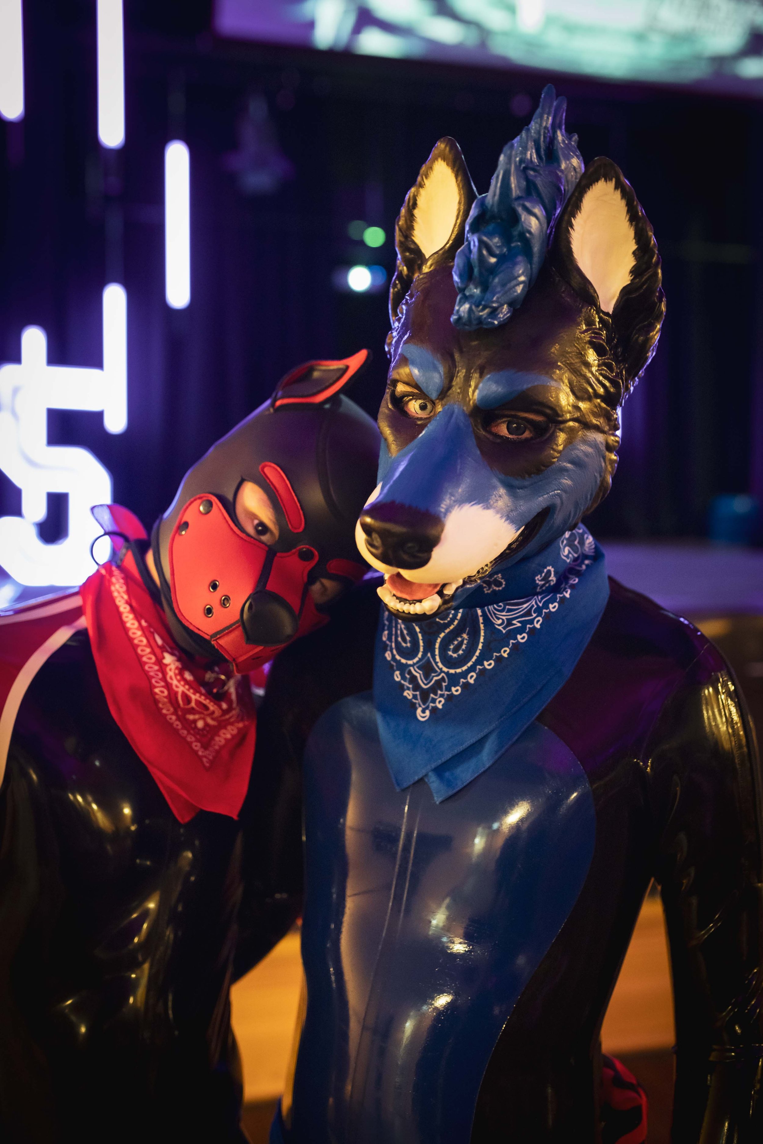 R2-OV-AE-MAXGLOSS-11-12SEP25-30.jpg