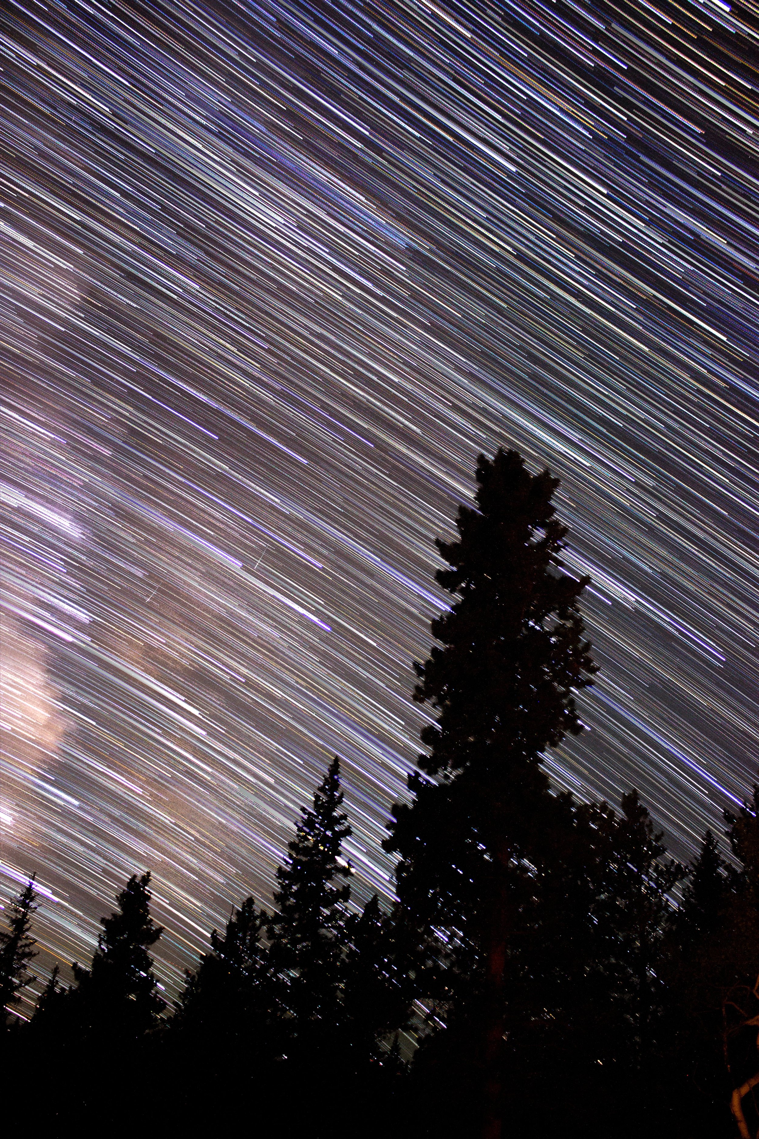 Star Trail 3.jpg