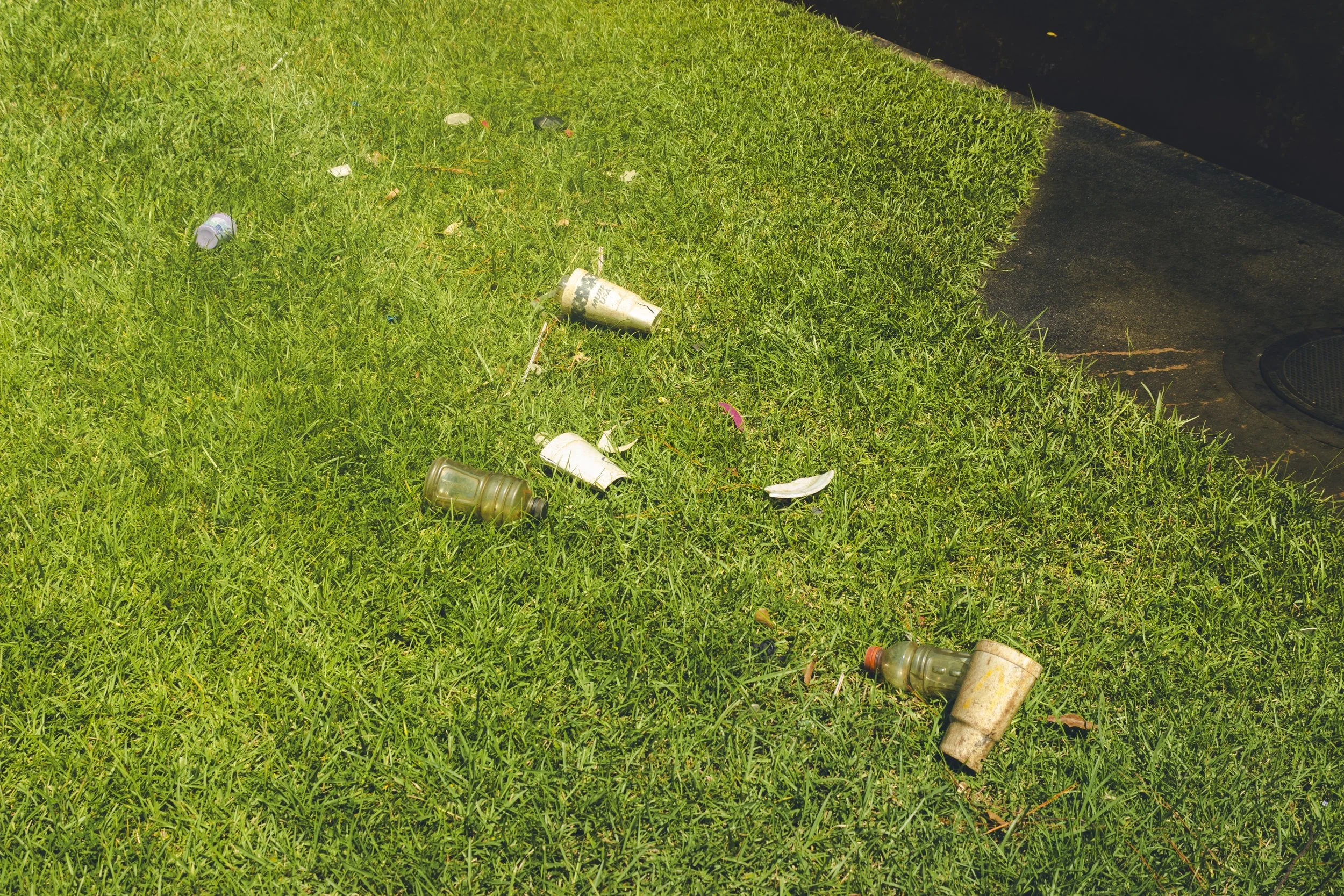 Litter left on the grass