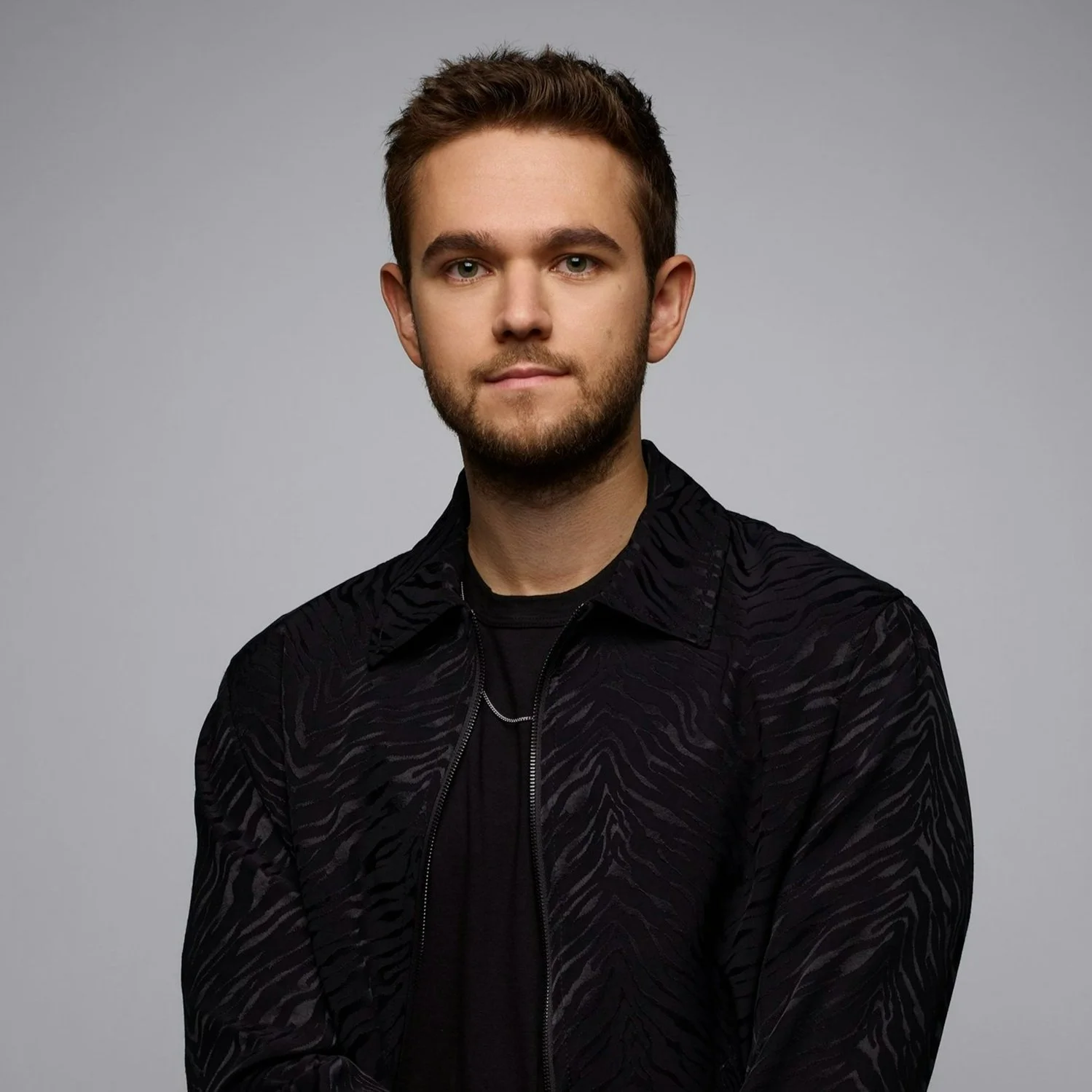 zedd