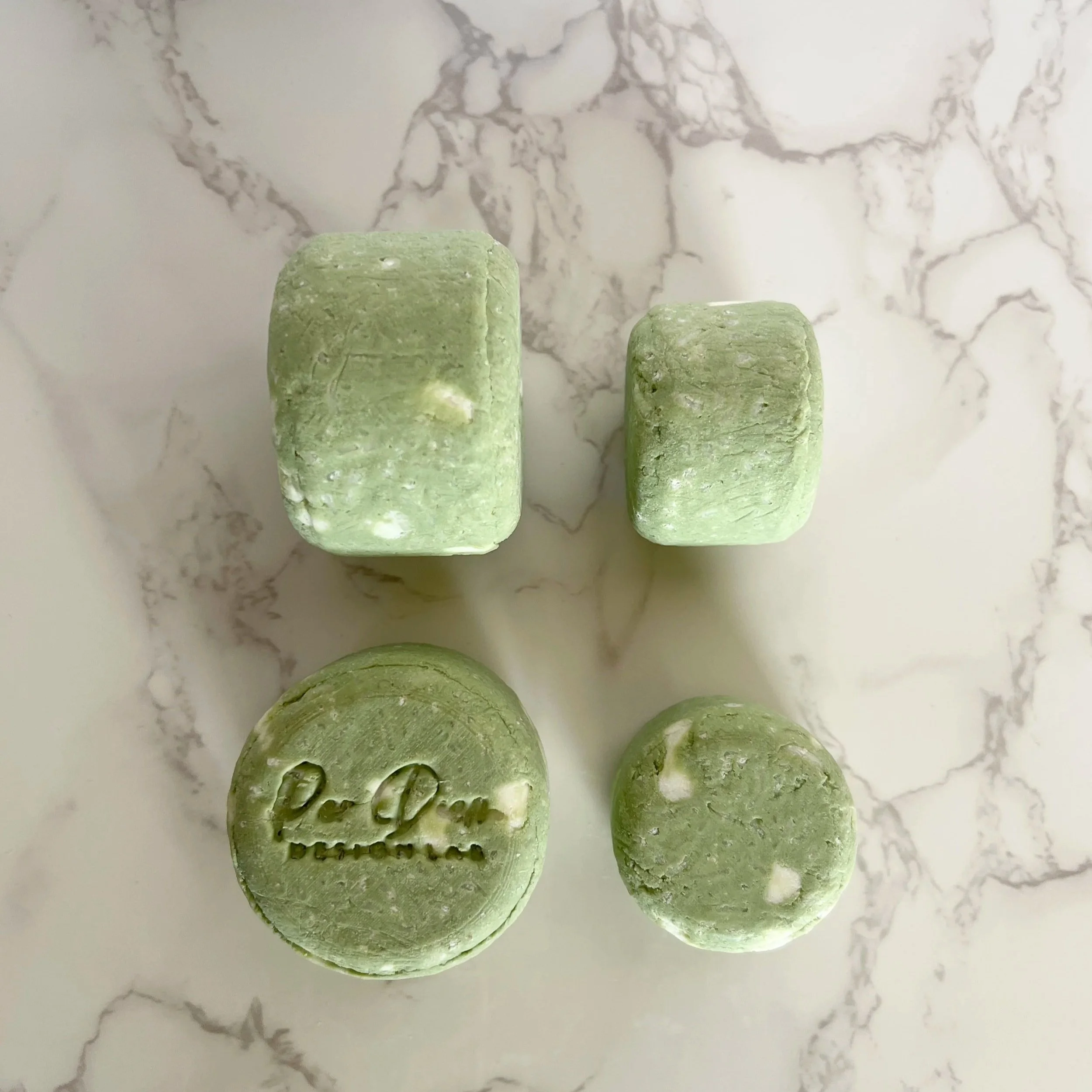 Cactus Agave Shampoo/Conditioner Bar