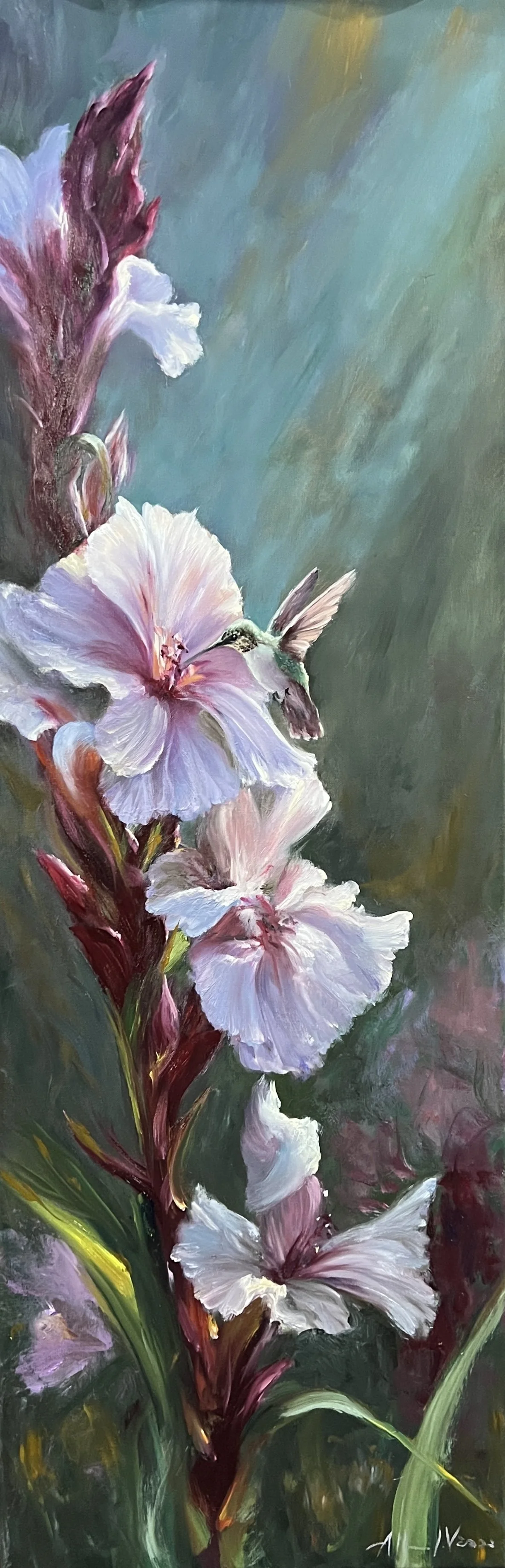 gladiolus and hummingbird