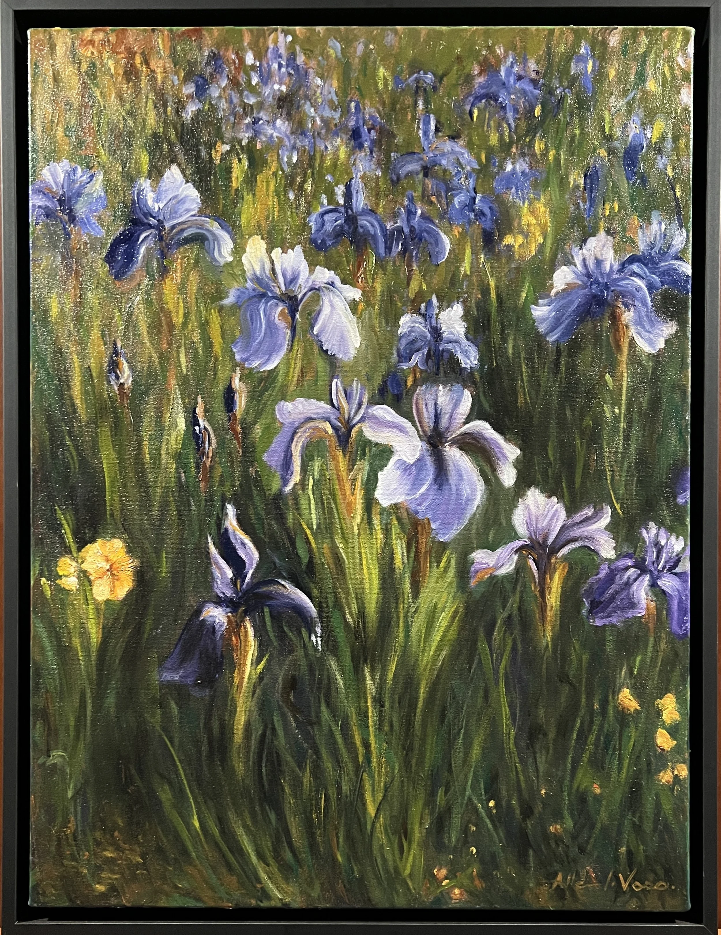 Purple Irises oil painting