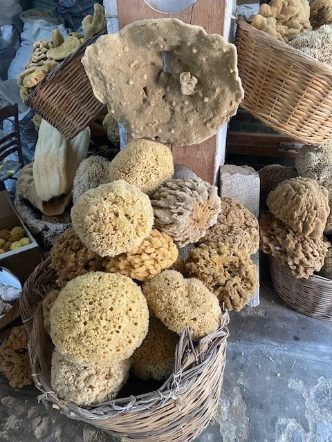 les sponge 2 soonge basket.jpeg