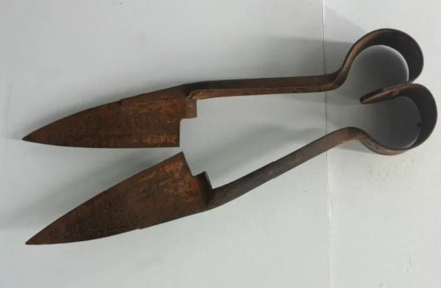 Maureen McCarthy — The Shears