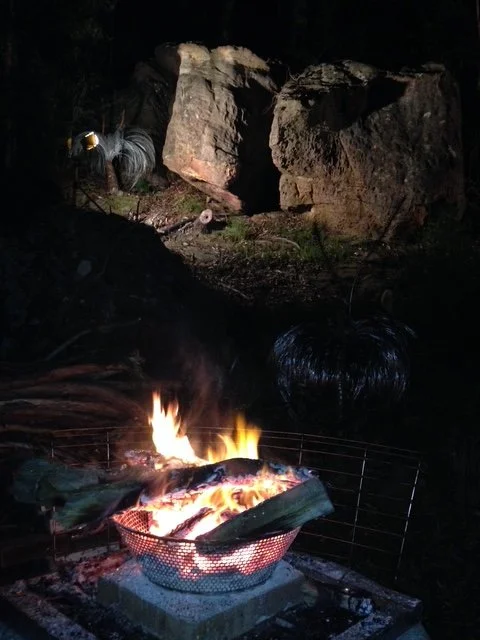 Helen Wyatt — Form and Fire