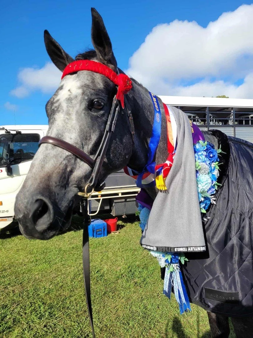 Pamper Pet Towel - Horse