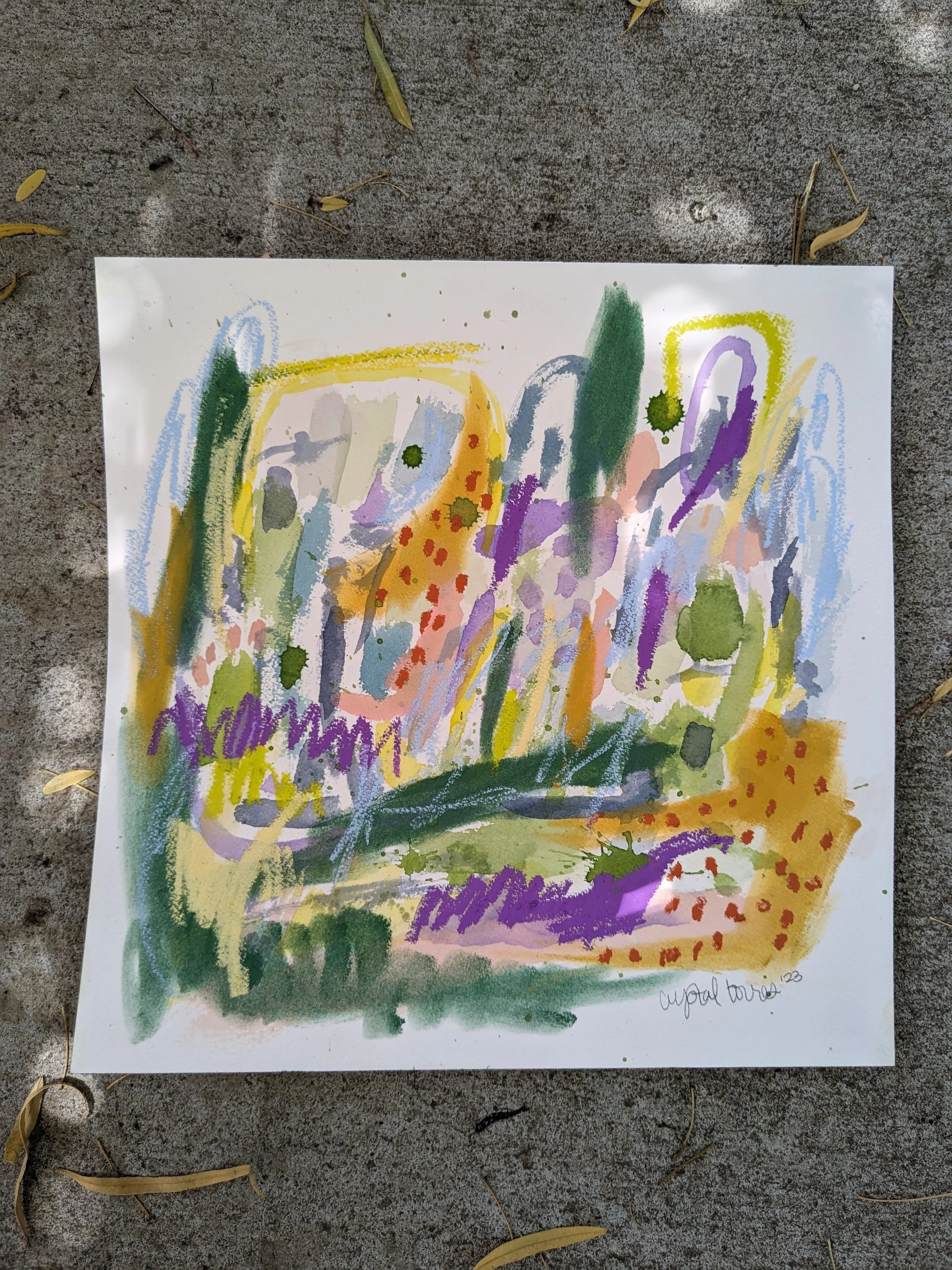 The Savanna