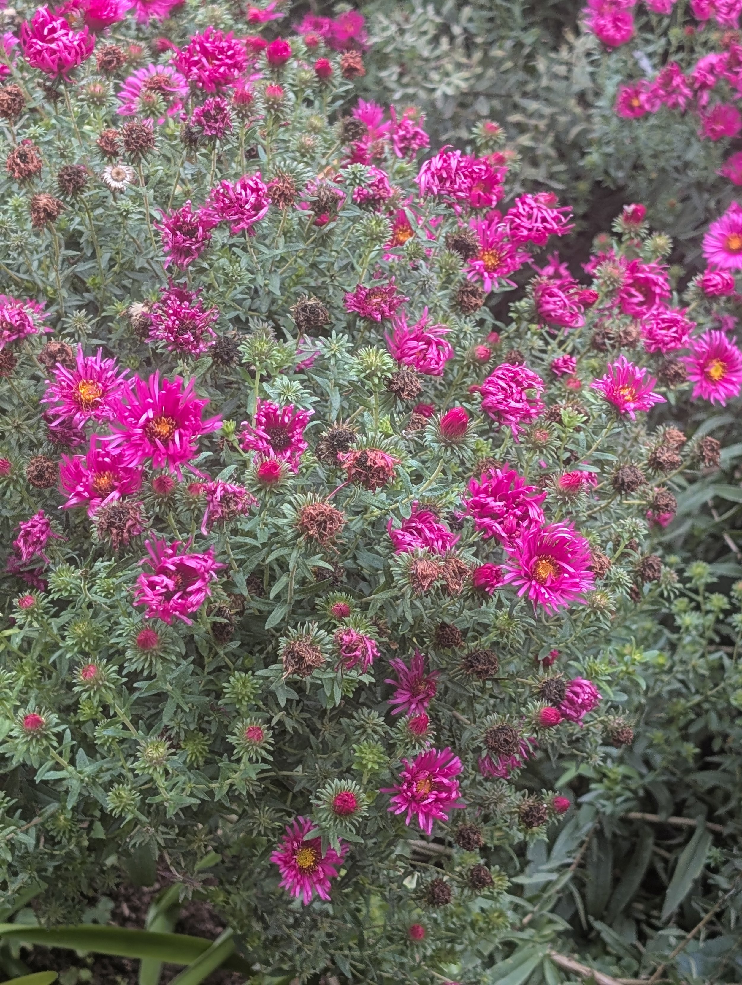 PXL_20250914_130344550.jpg