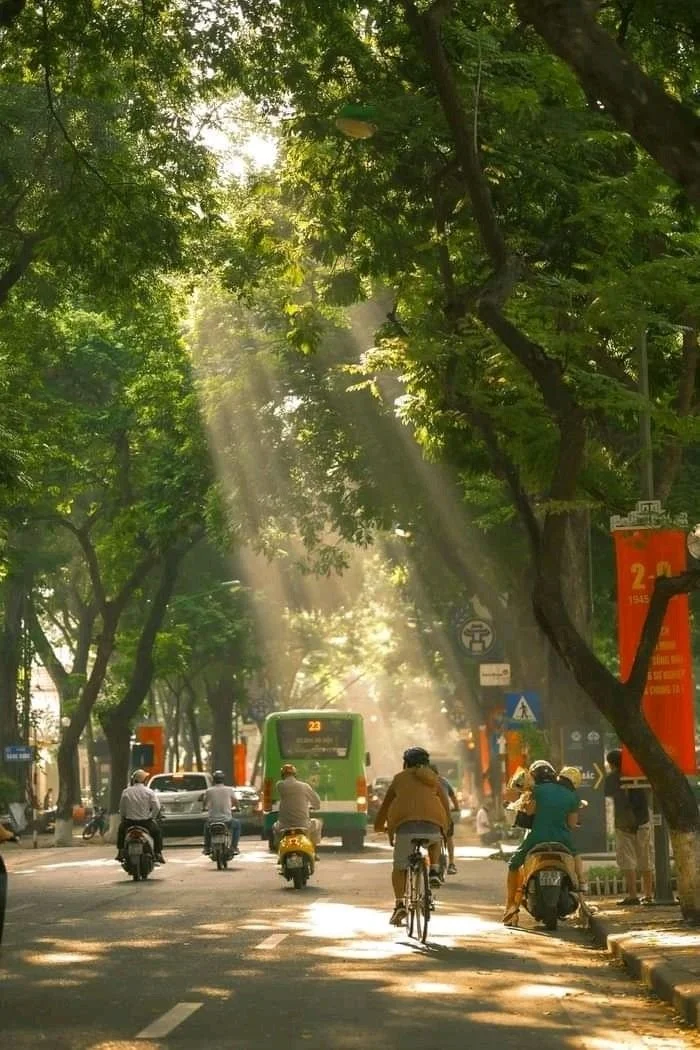 Vietnam Business Law Update May 2026