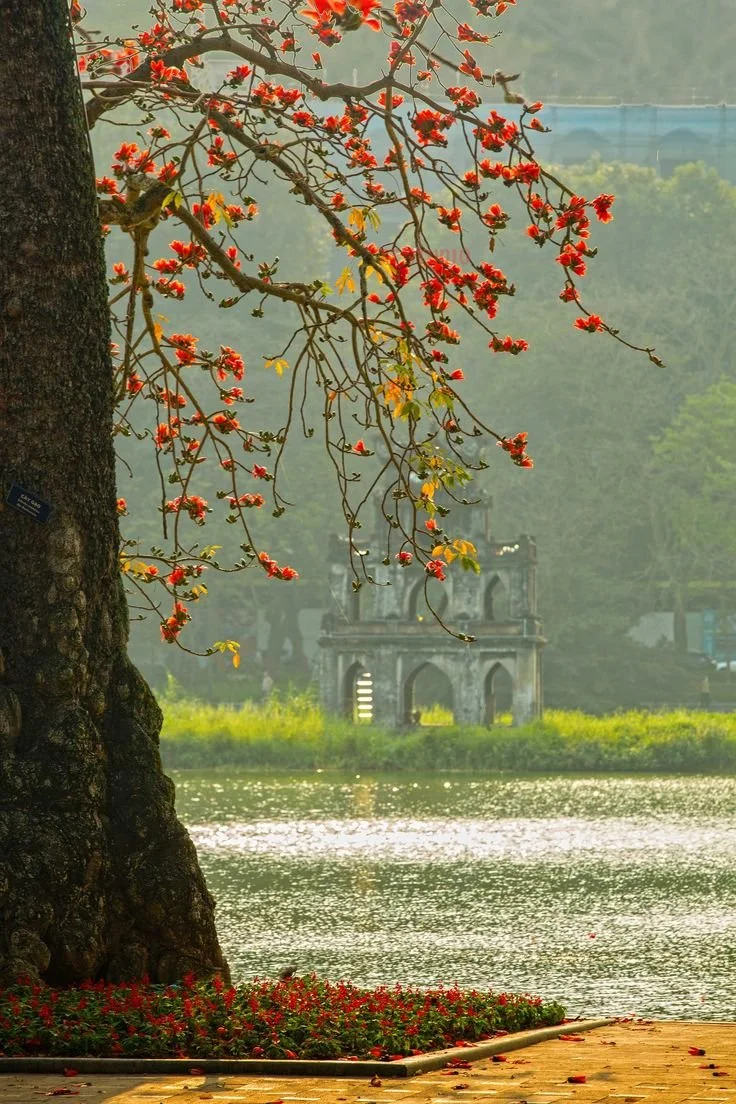 Vietnam Business Law Update August 2026