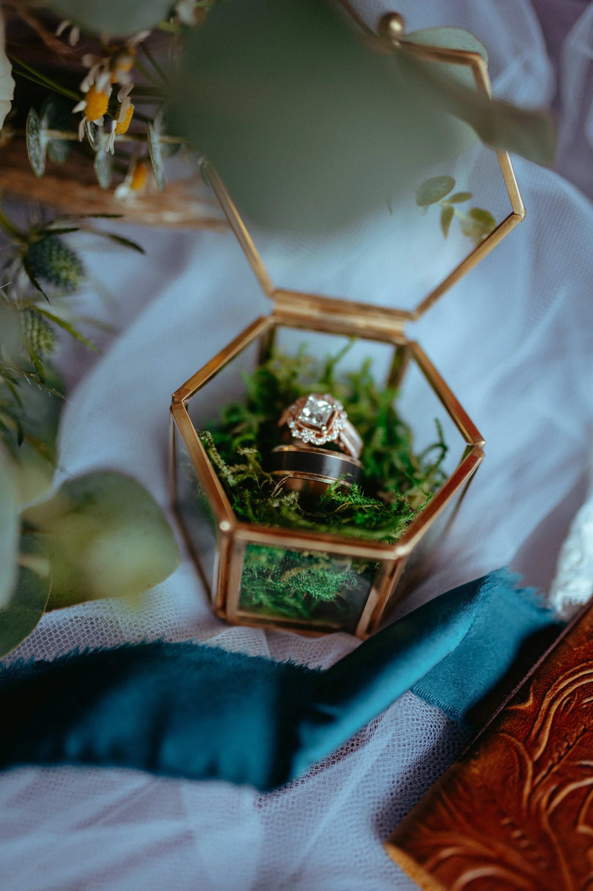 BOSWELL 2024 1-3.jpg