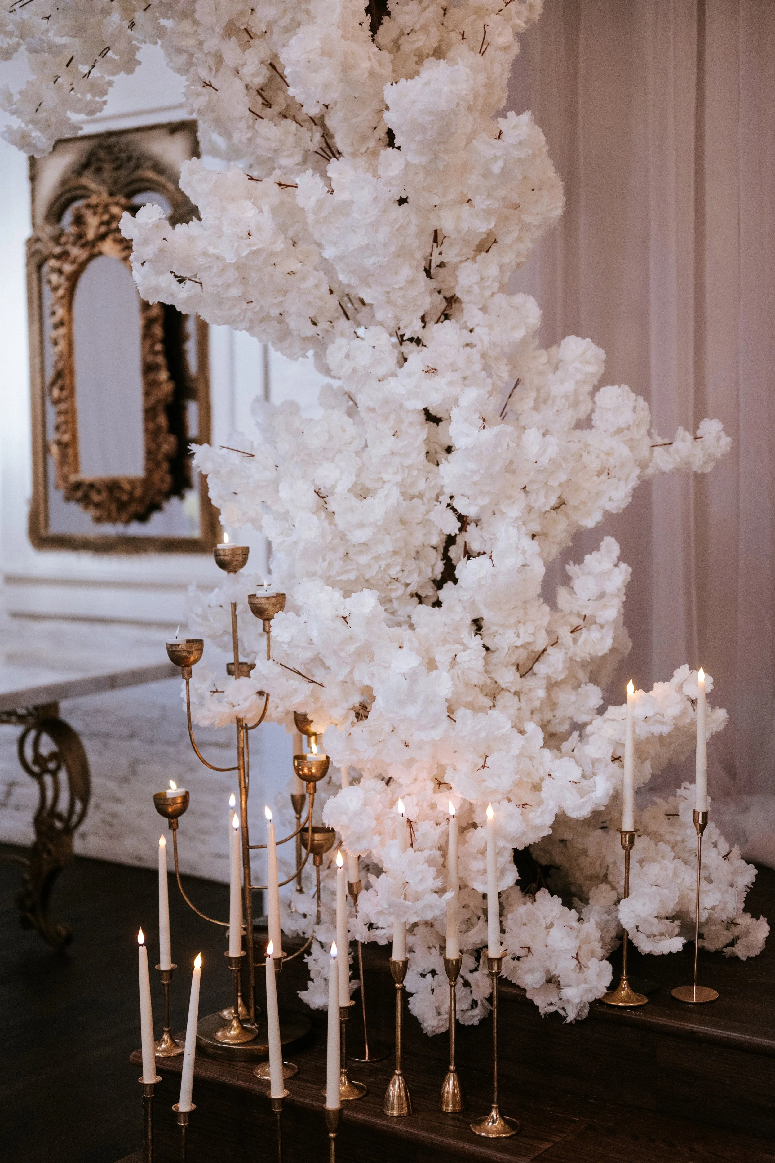 PARISA VINCE 2-203.jpg