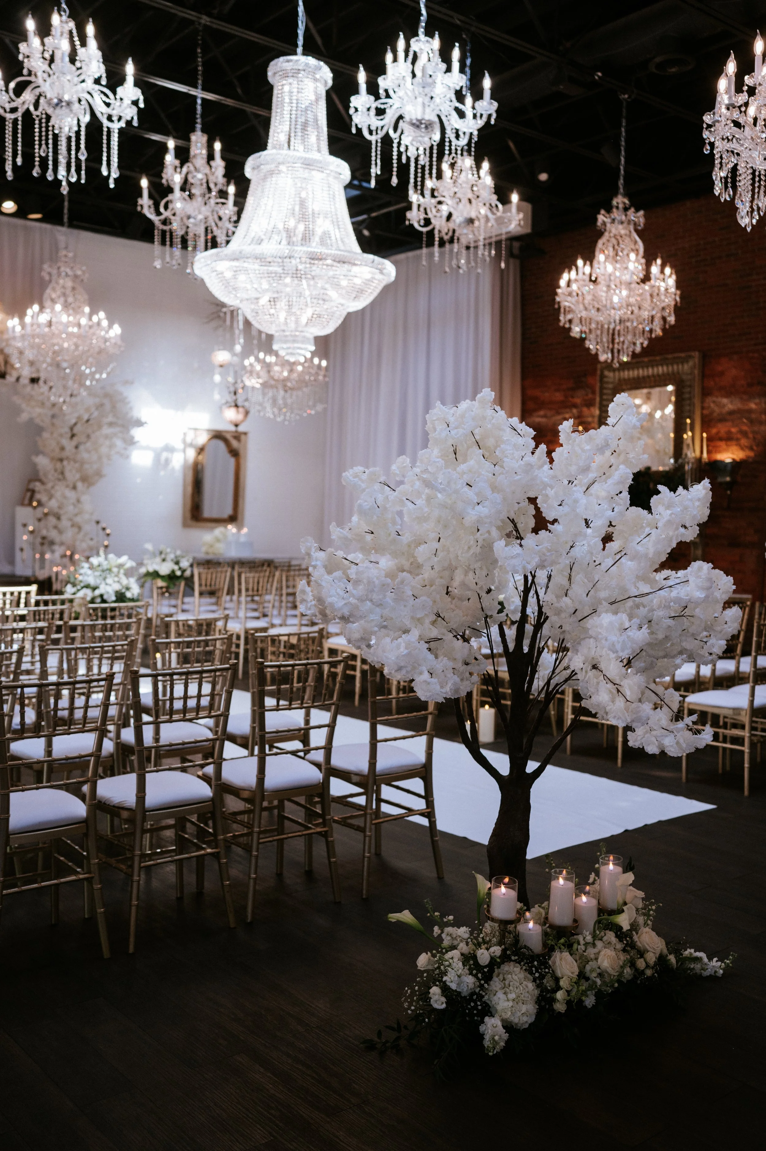 PARISA VINCE 2-243.jpg