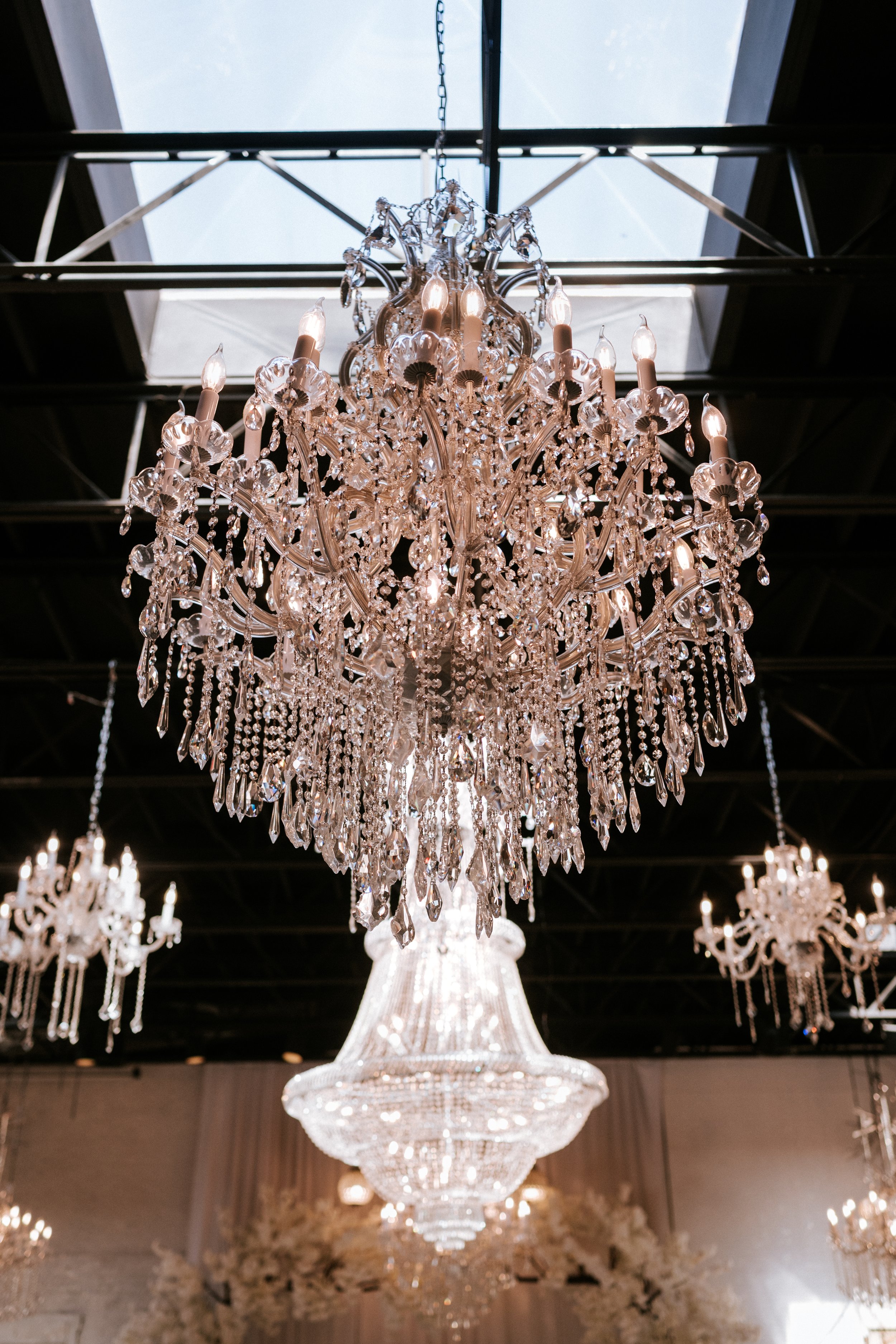 PARISA VINCE 2-242.jpg