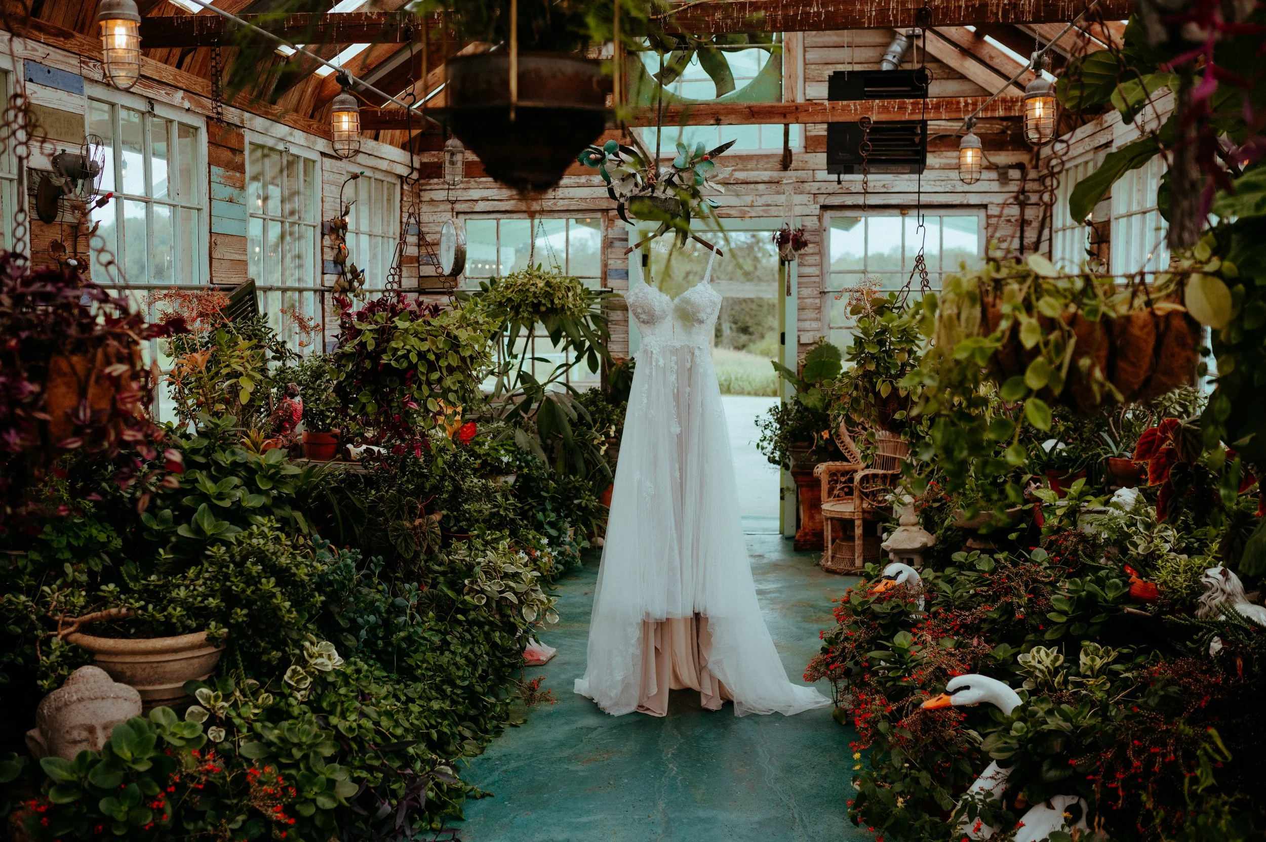 BOSWELL  (1 of 1)-9.jpg