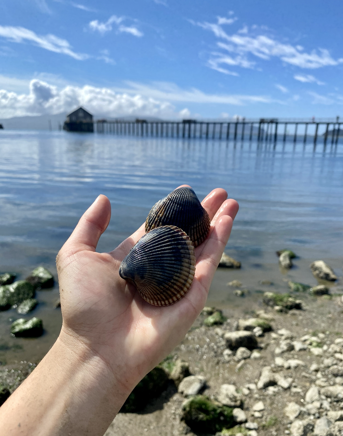 Sustainable Oregon Seafood Feast