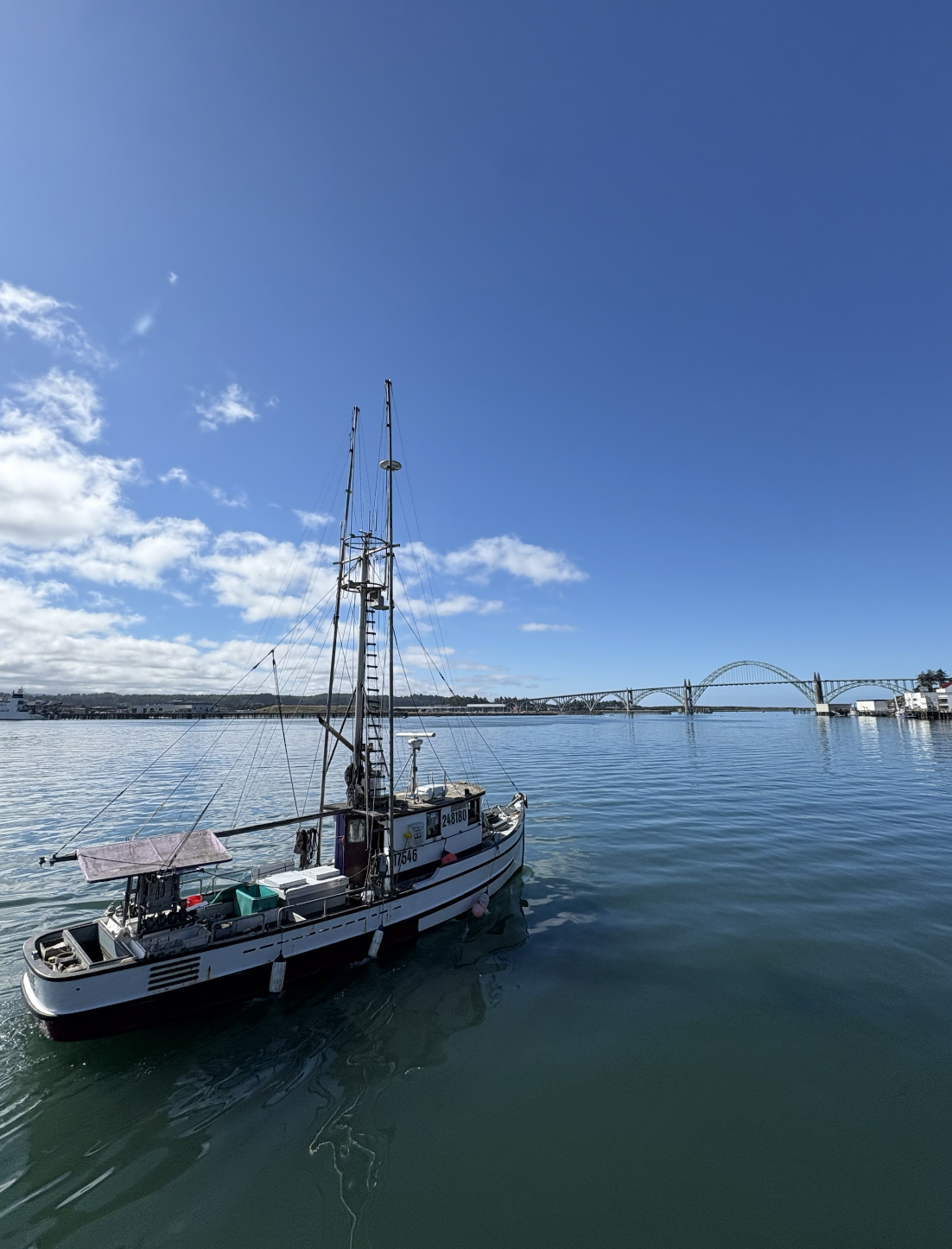 Winter Waters Newport Takeover