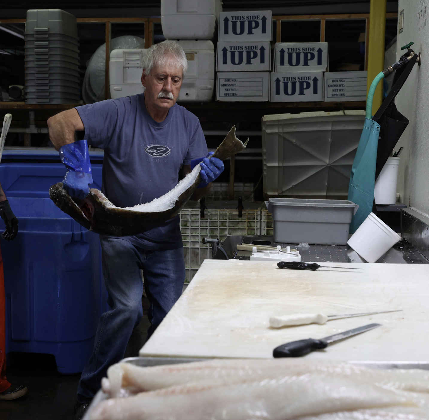 Screenshot 2025-12-19 at 12.51.02 a.m..png